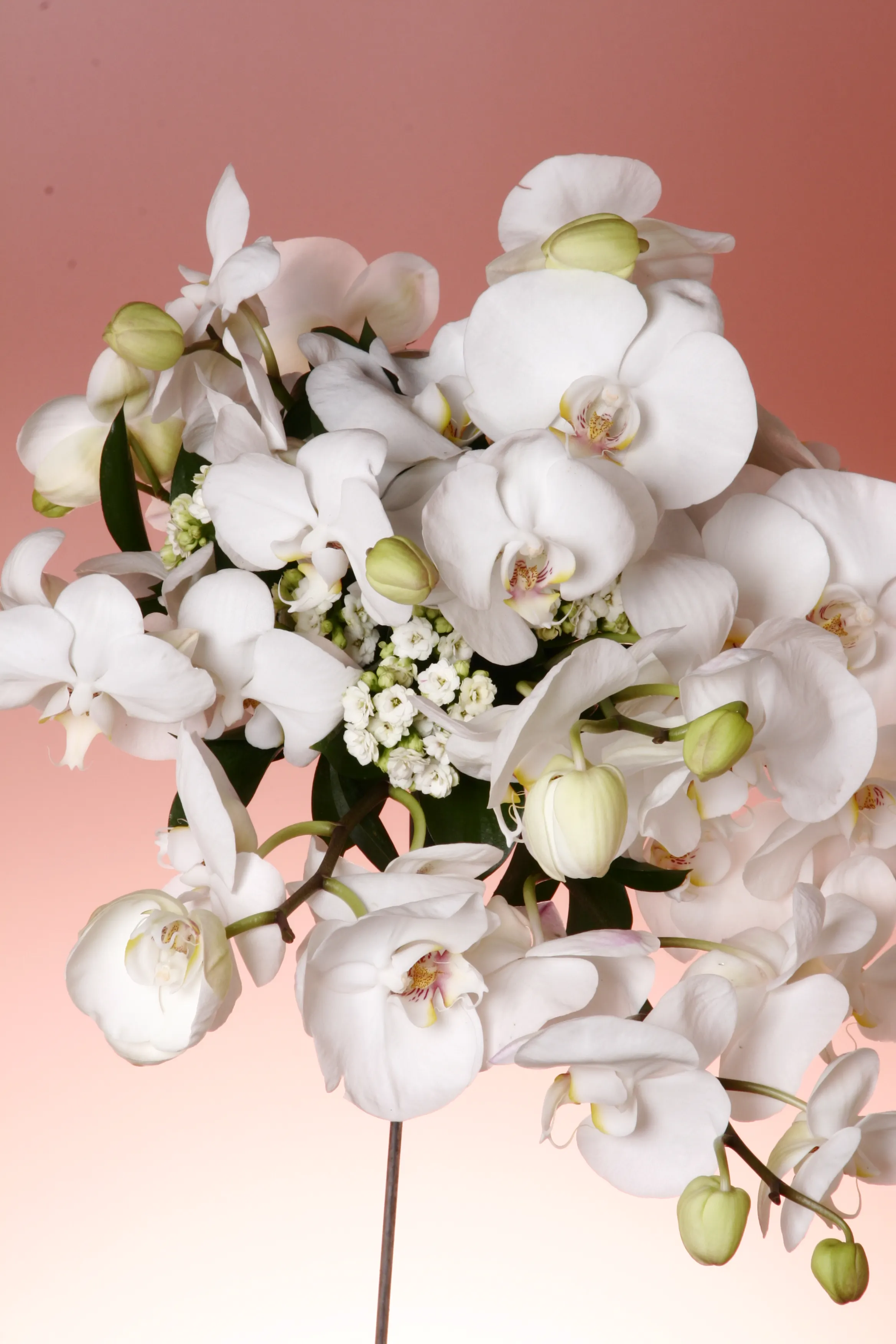 Elegant Orchid Bouquet - view 3