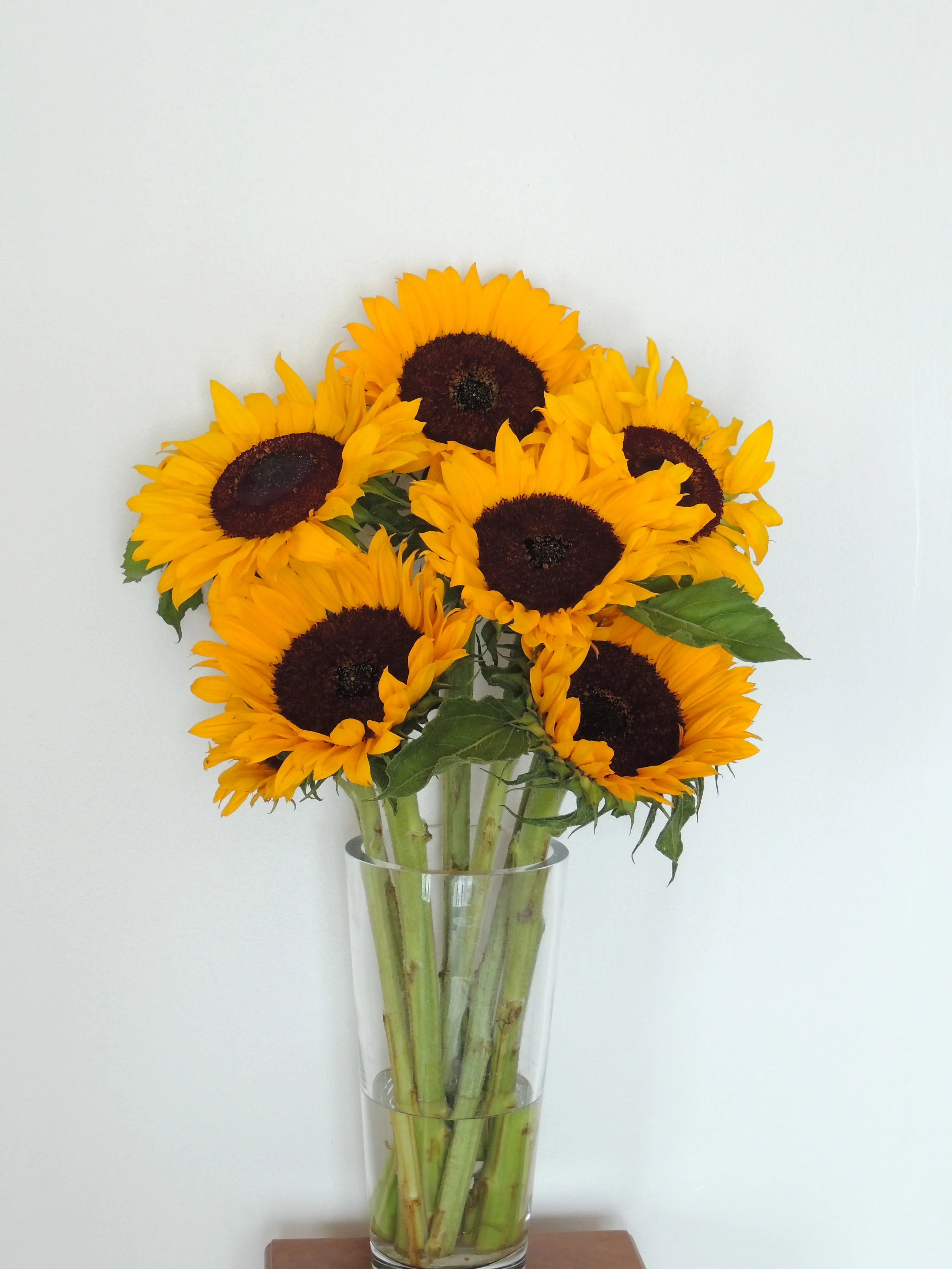 Sunshine Sunflower Bouquet - view 3