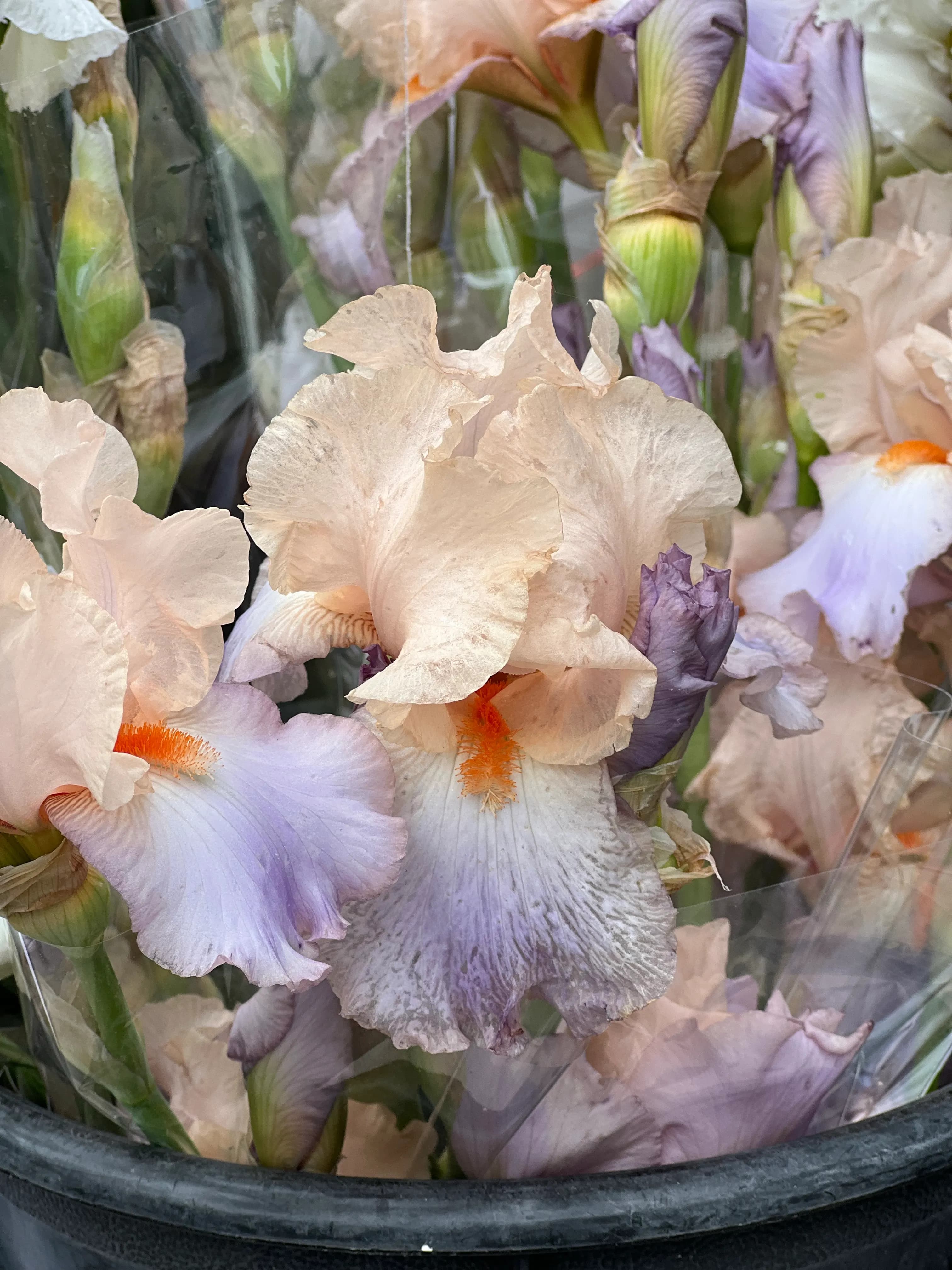 Blue Iris Bouquet - view 6