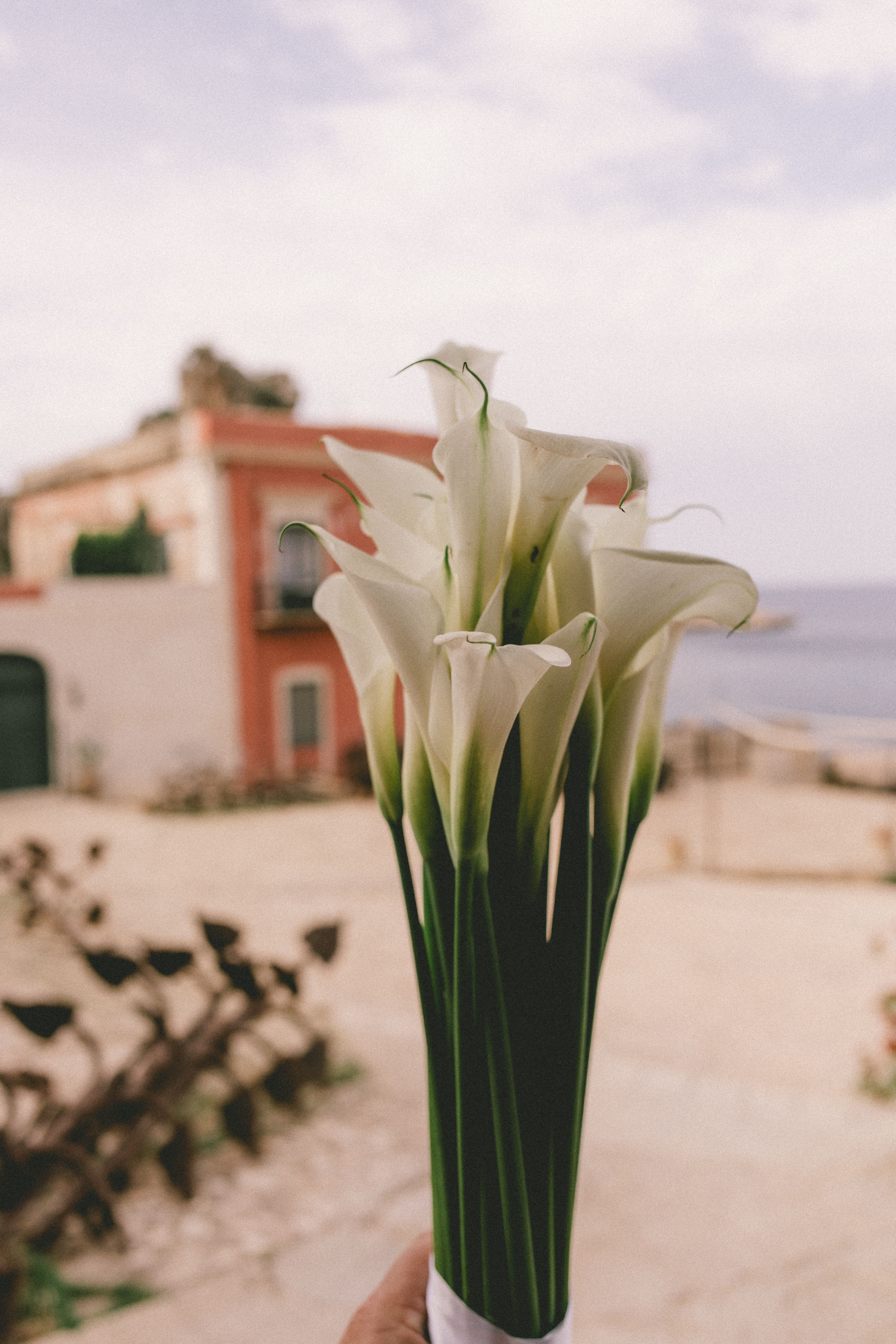 Calla Lily Elegance Bouquet - view 4