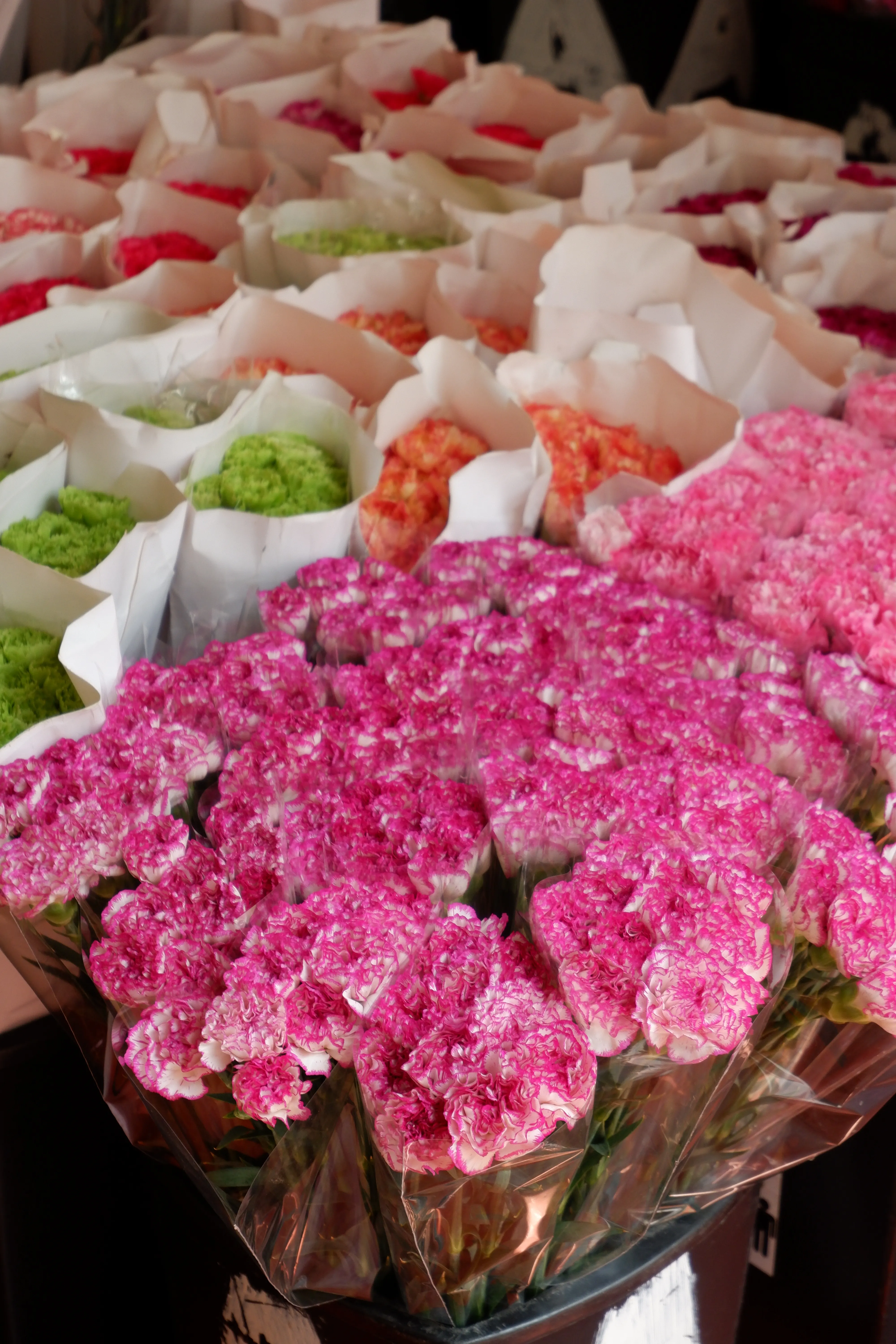 Carnation Delight Bouquet - view 5