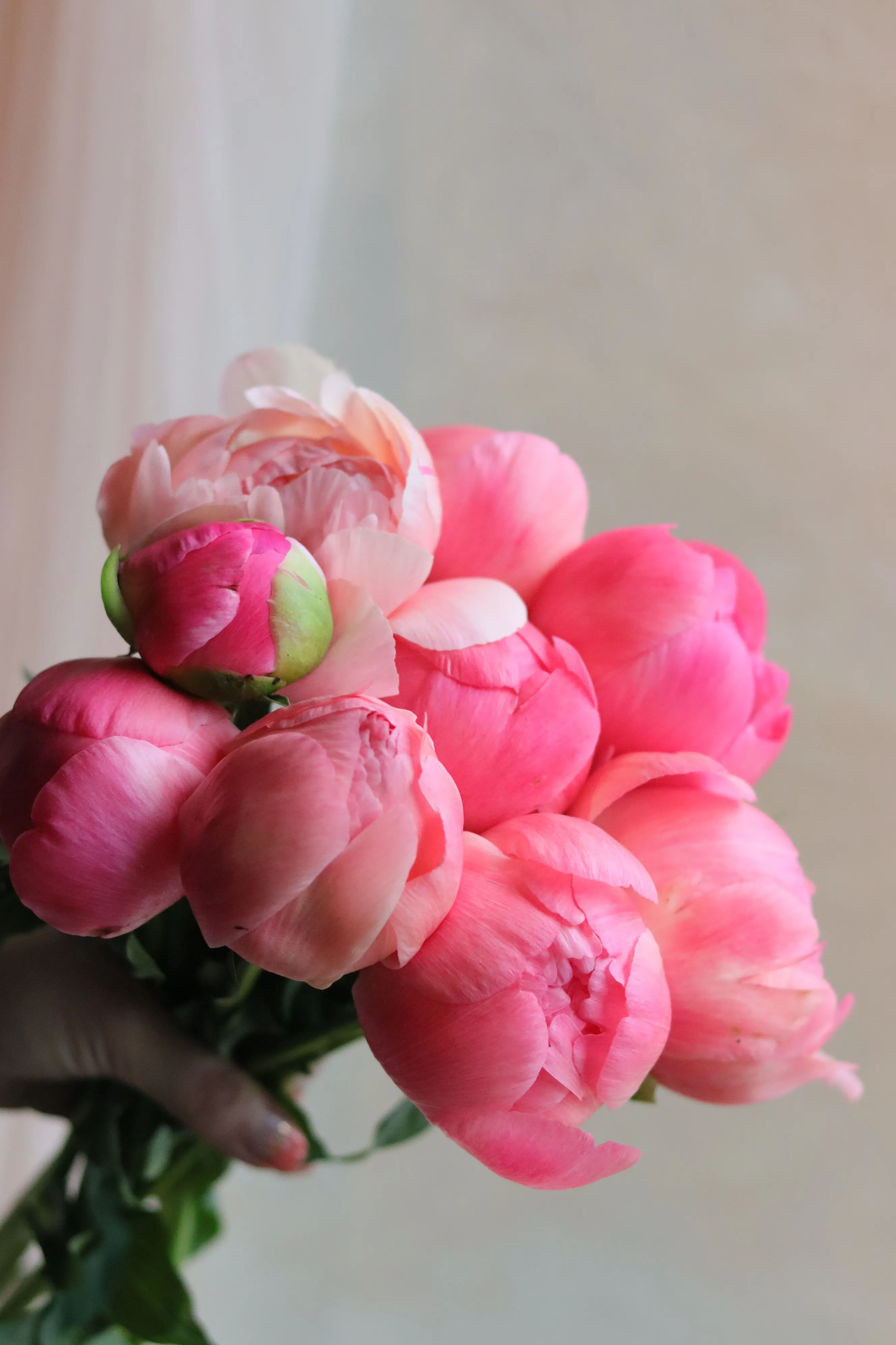 Blush Peony Bouquet - view 6