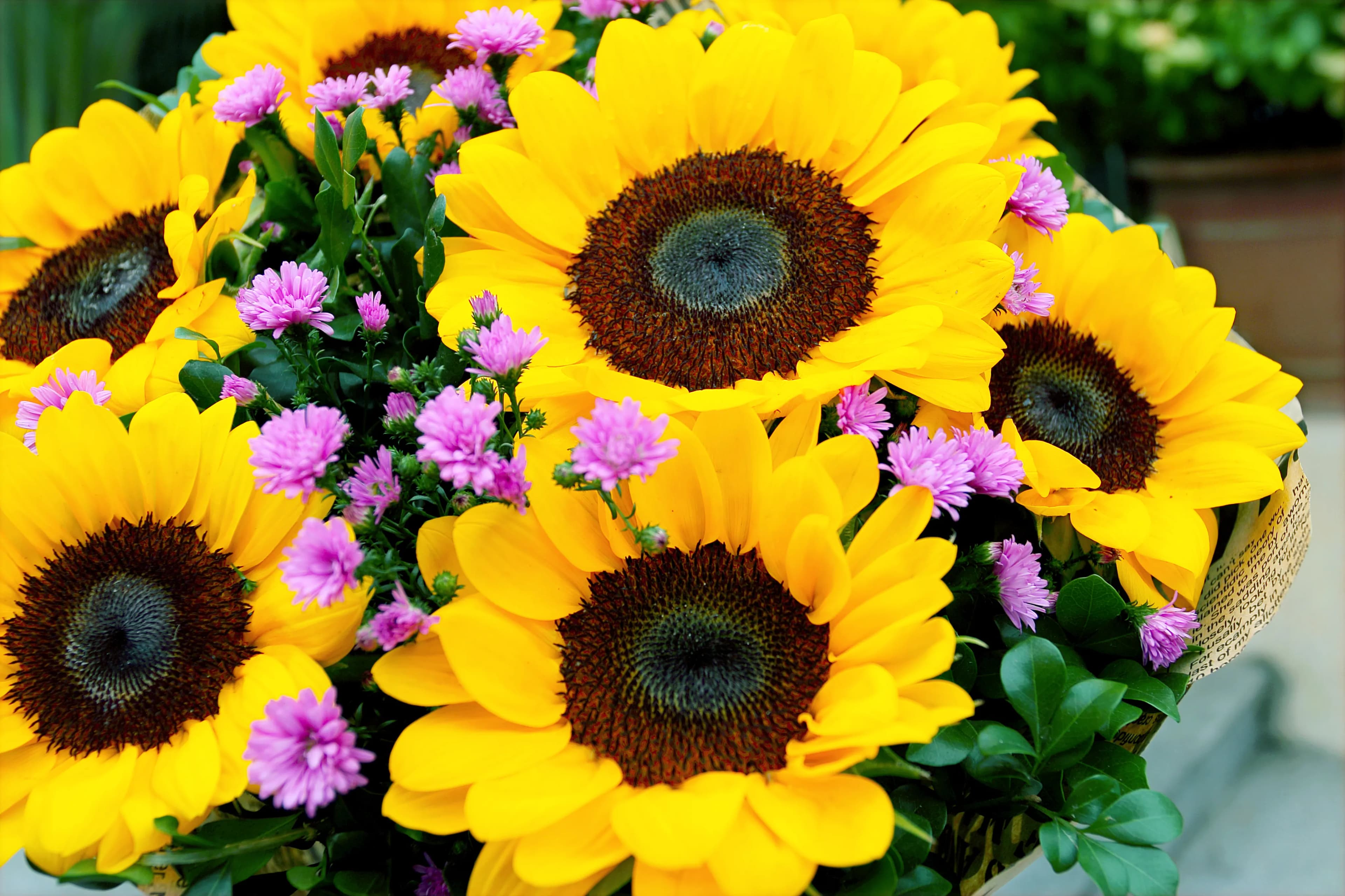 Sunshine Sunflower Bouquet - view 6