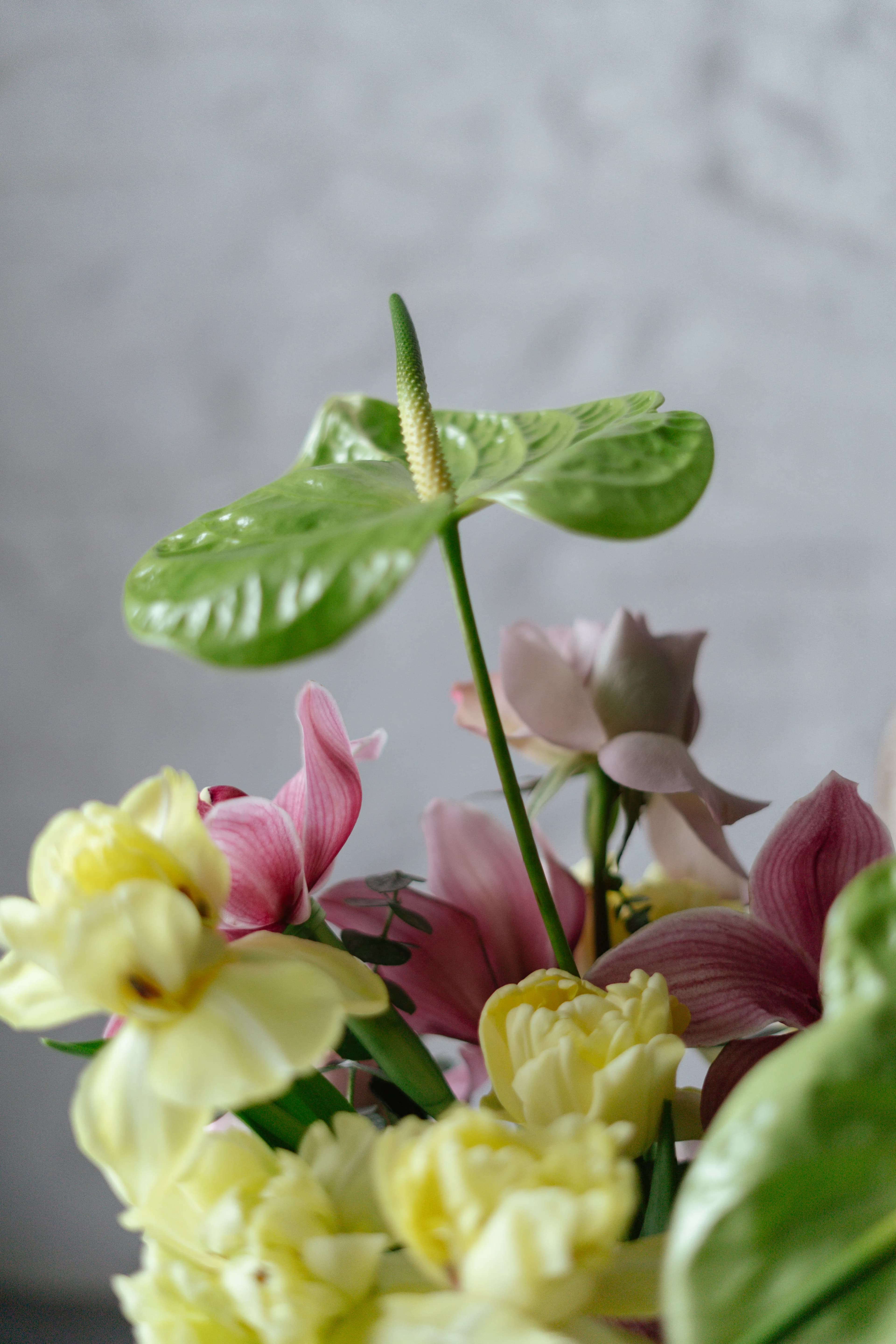 Tropical Paradise Bouquet - view 3