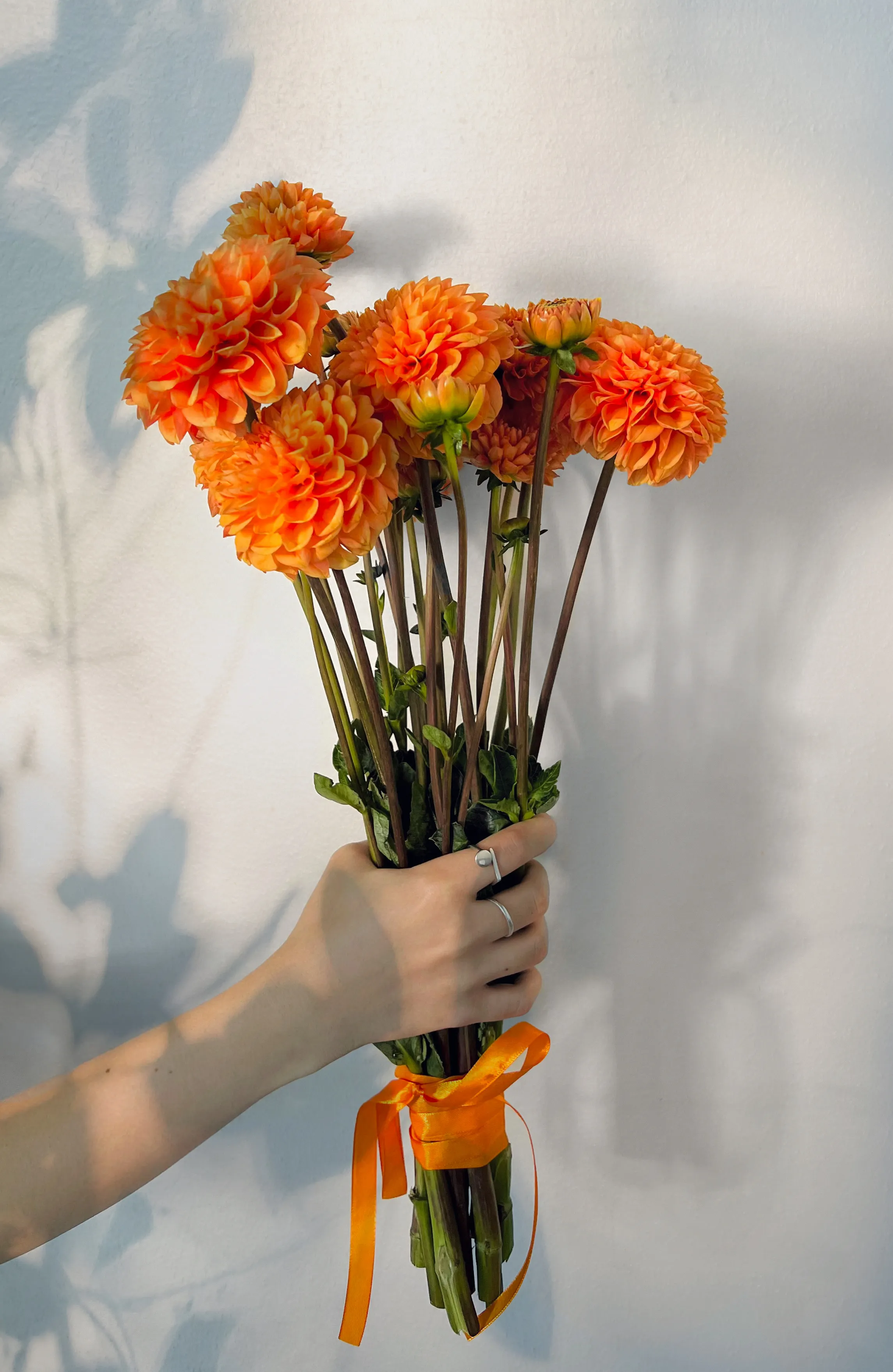 Dahlia Dream Bouquet - view 3