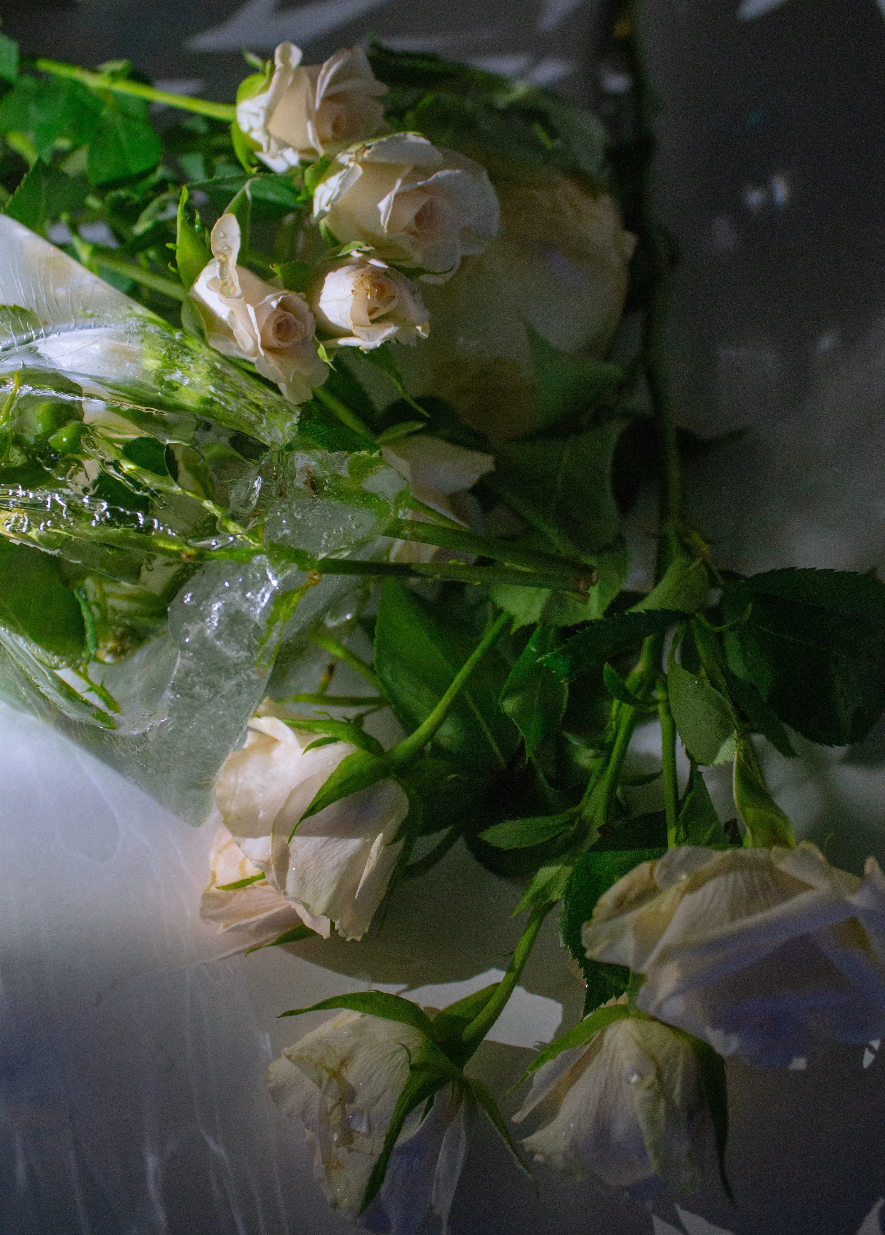 Snow White Rose Bouquet - view 5