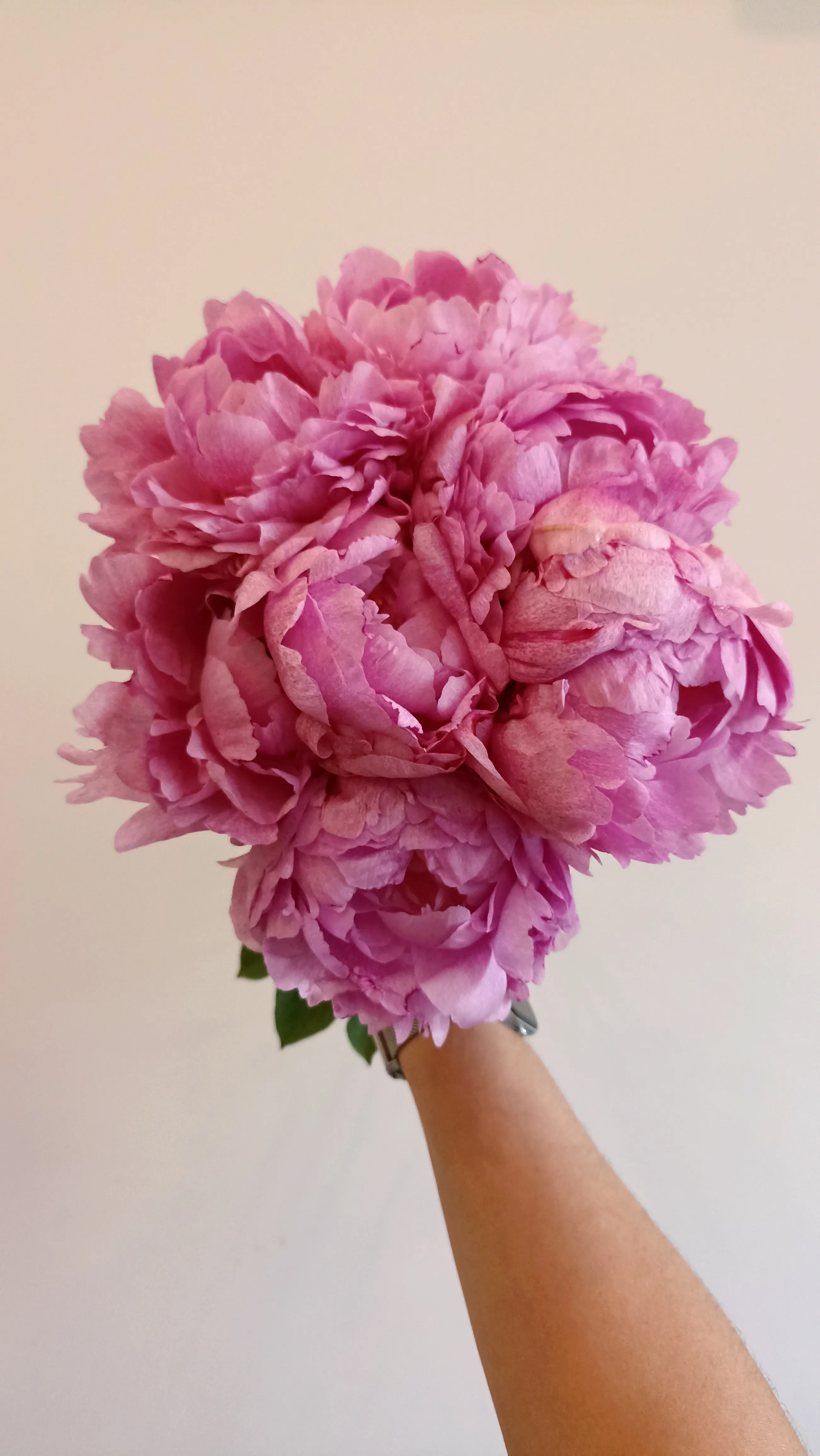 Blush Peony Bouquet - view 4