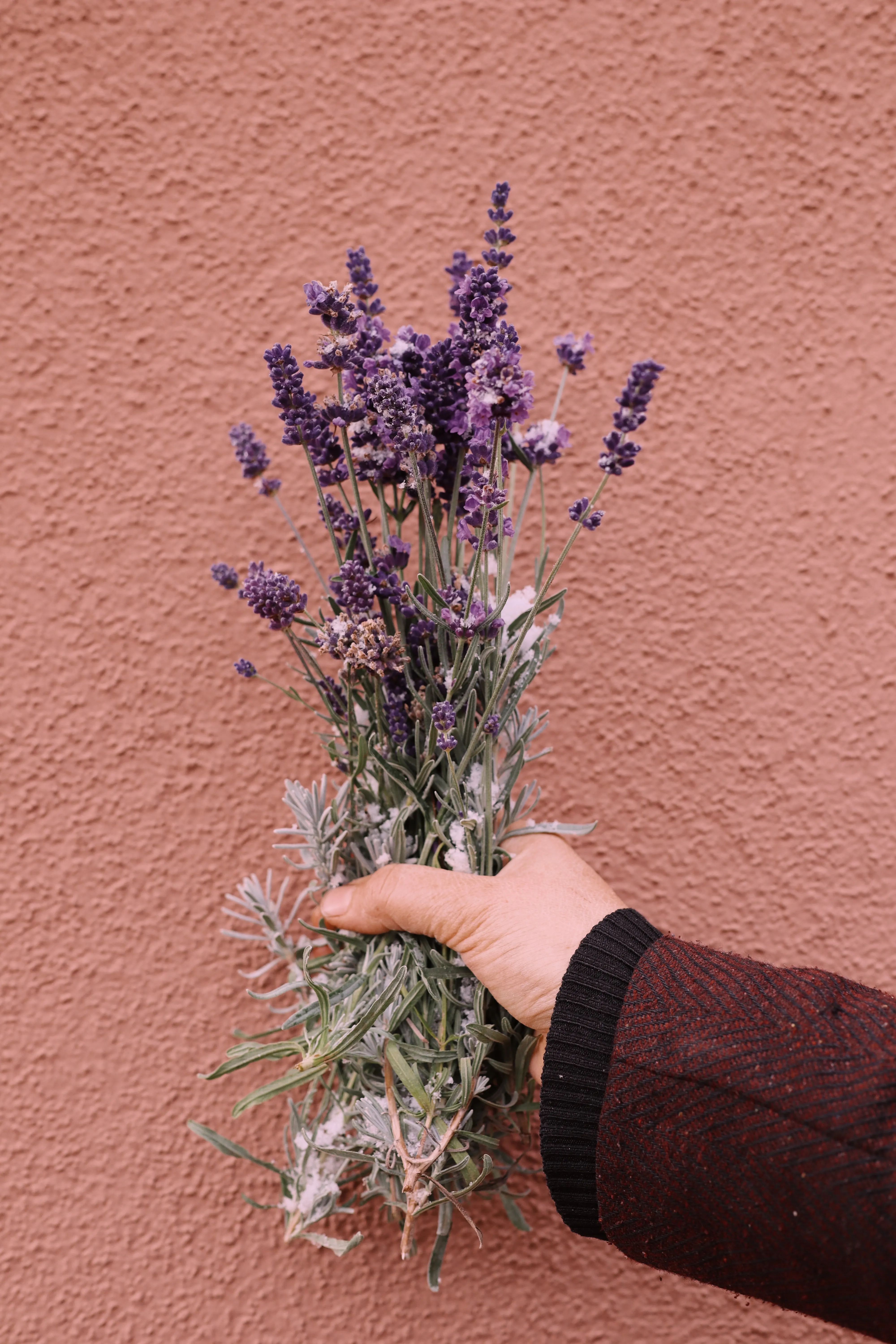 Lavender Fields Bouquet - view 4
