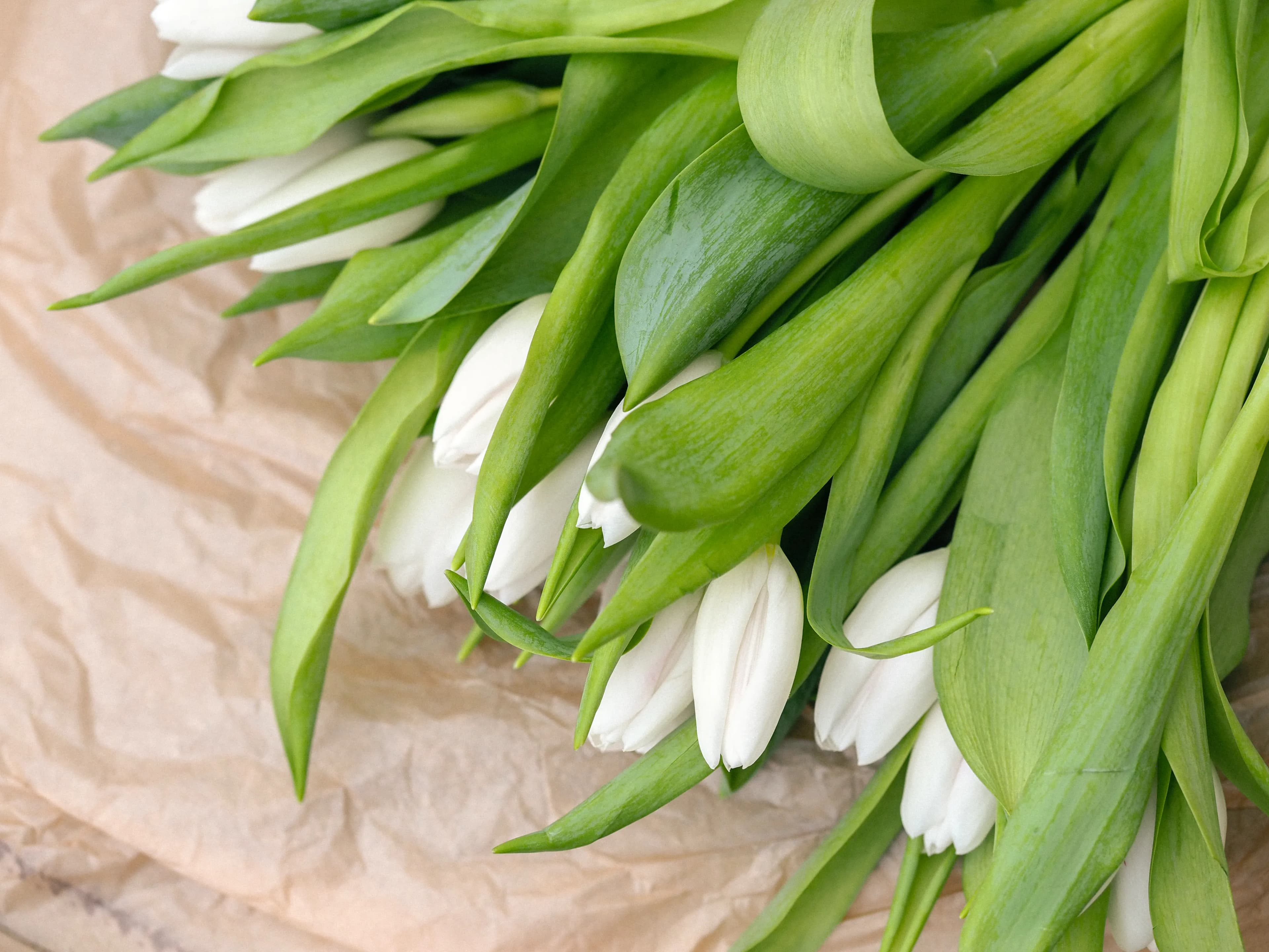Spring Tulip Bouquet - view 4