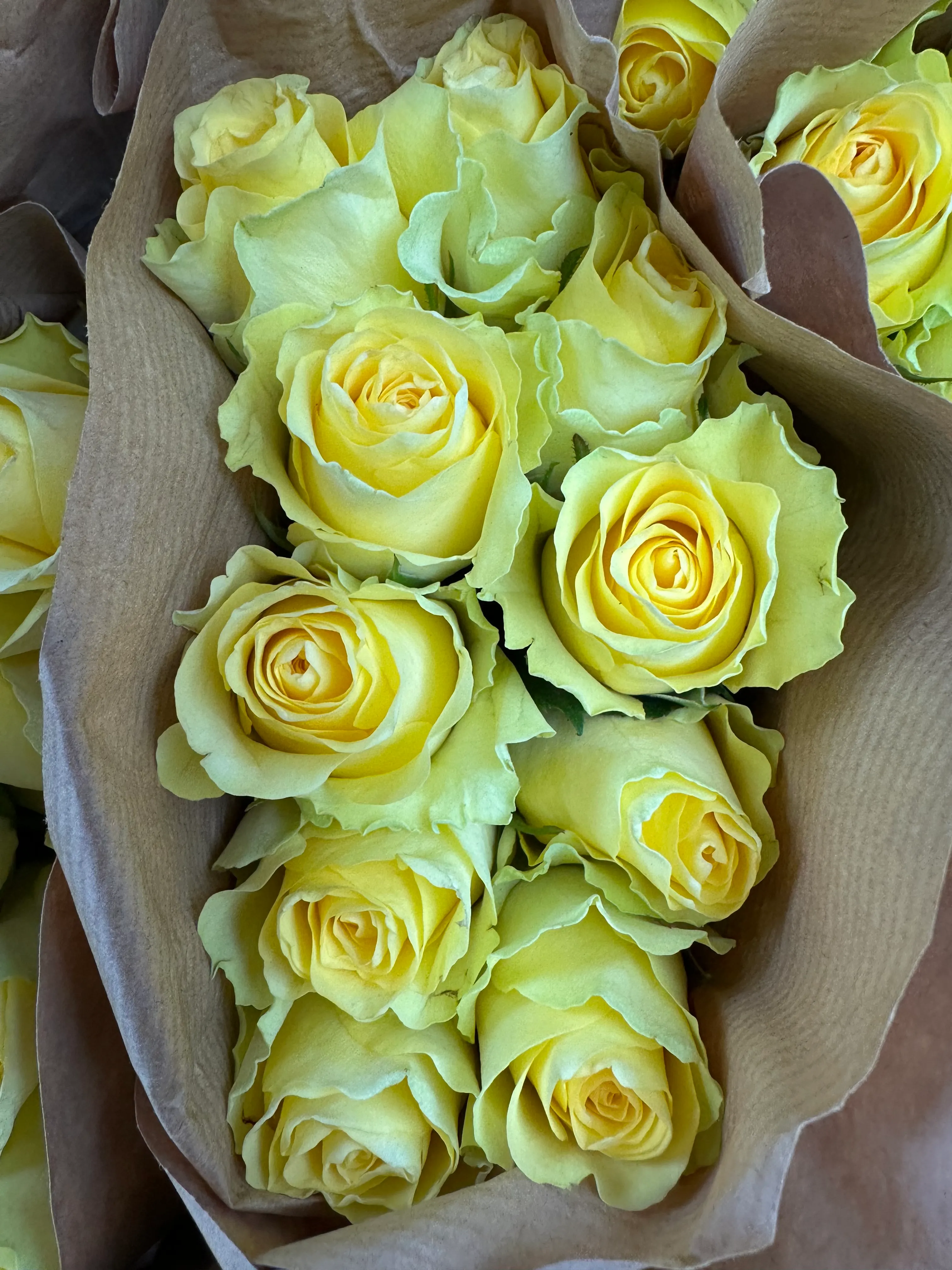 Golden Yellow Rose Bouquet - view 6