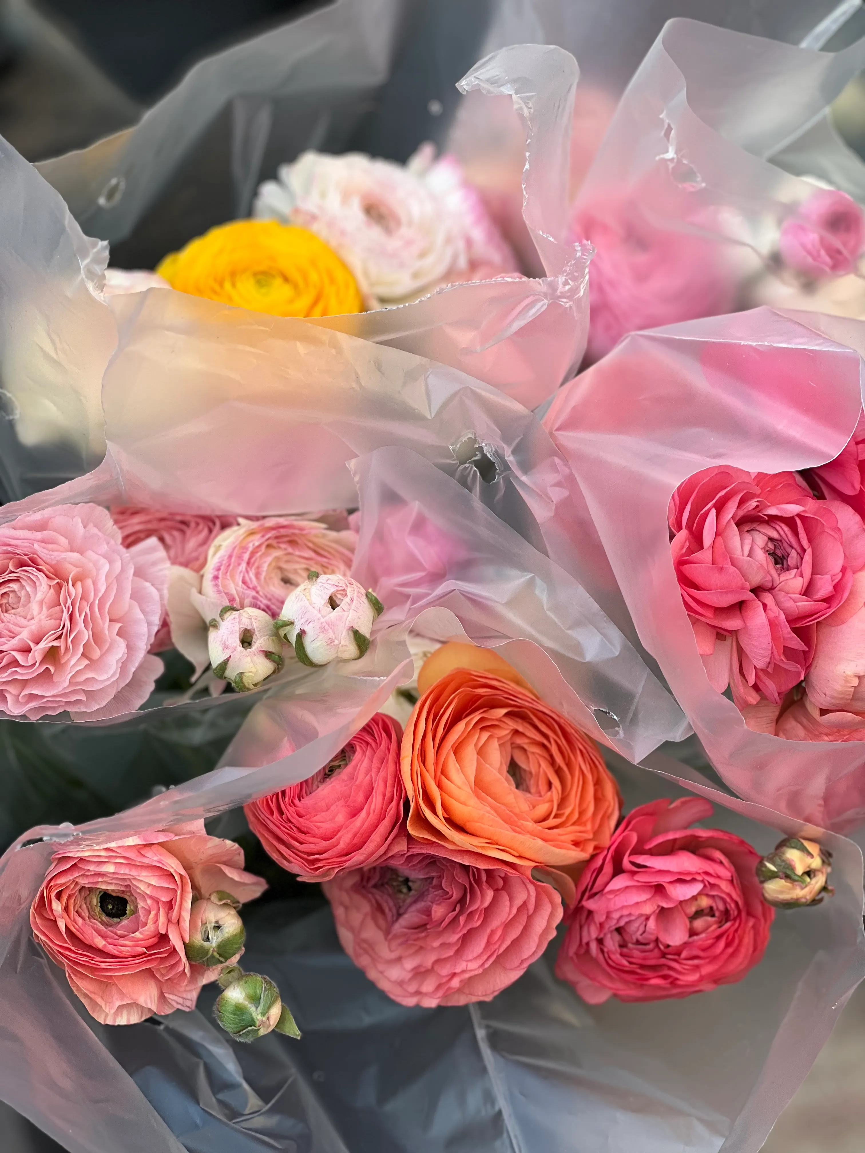 Ranunculus Rose-Petal Bouquet - view 5