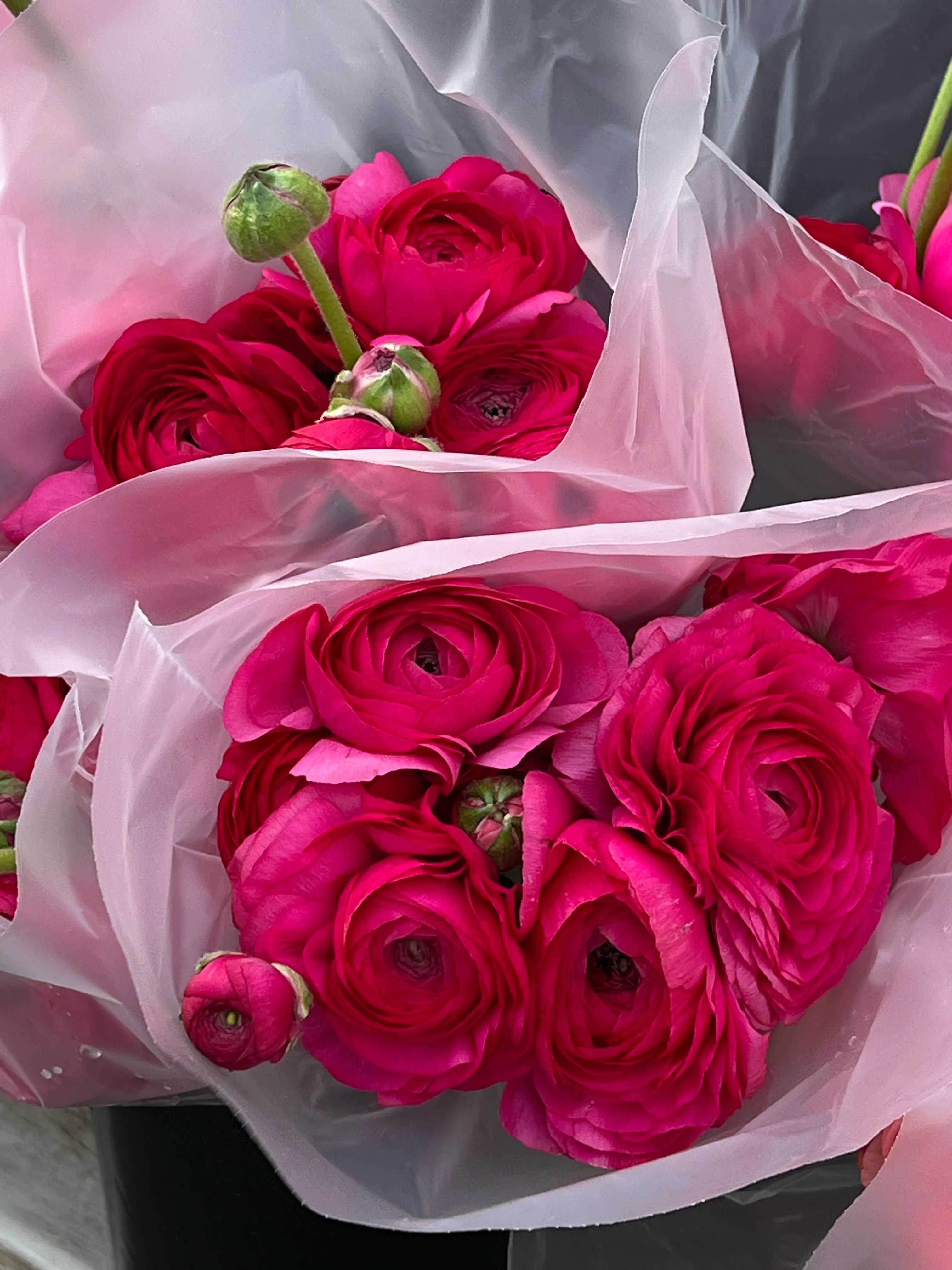 Ranunculus Rose-Petal Bouquet - view 3