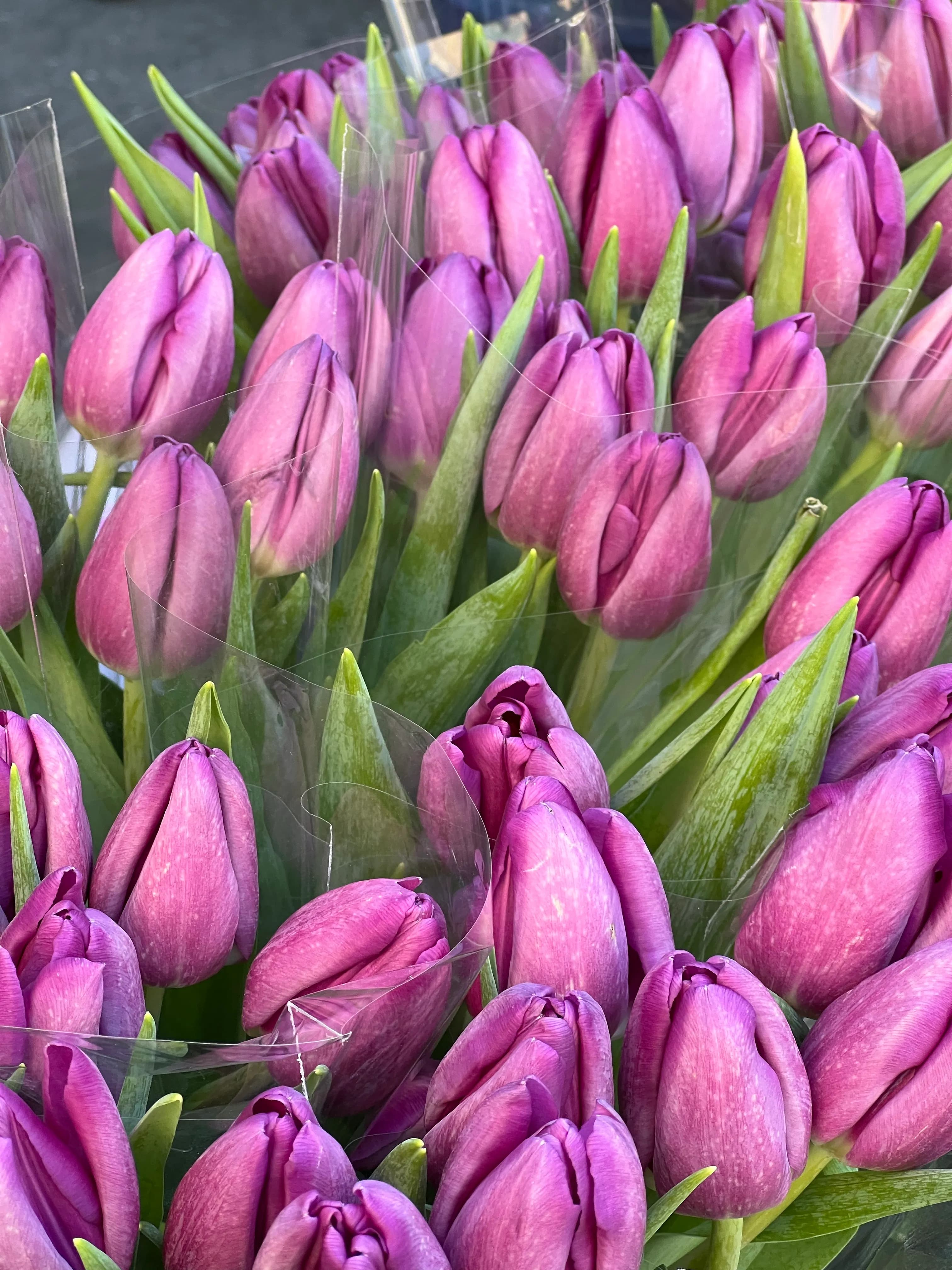 Spring Tulip Bouquet - view 5