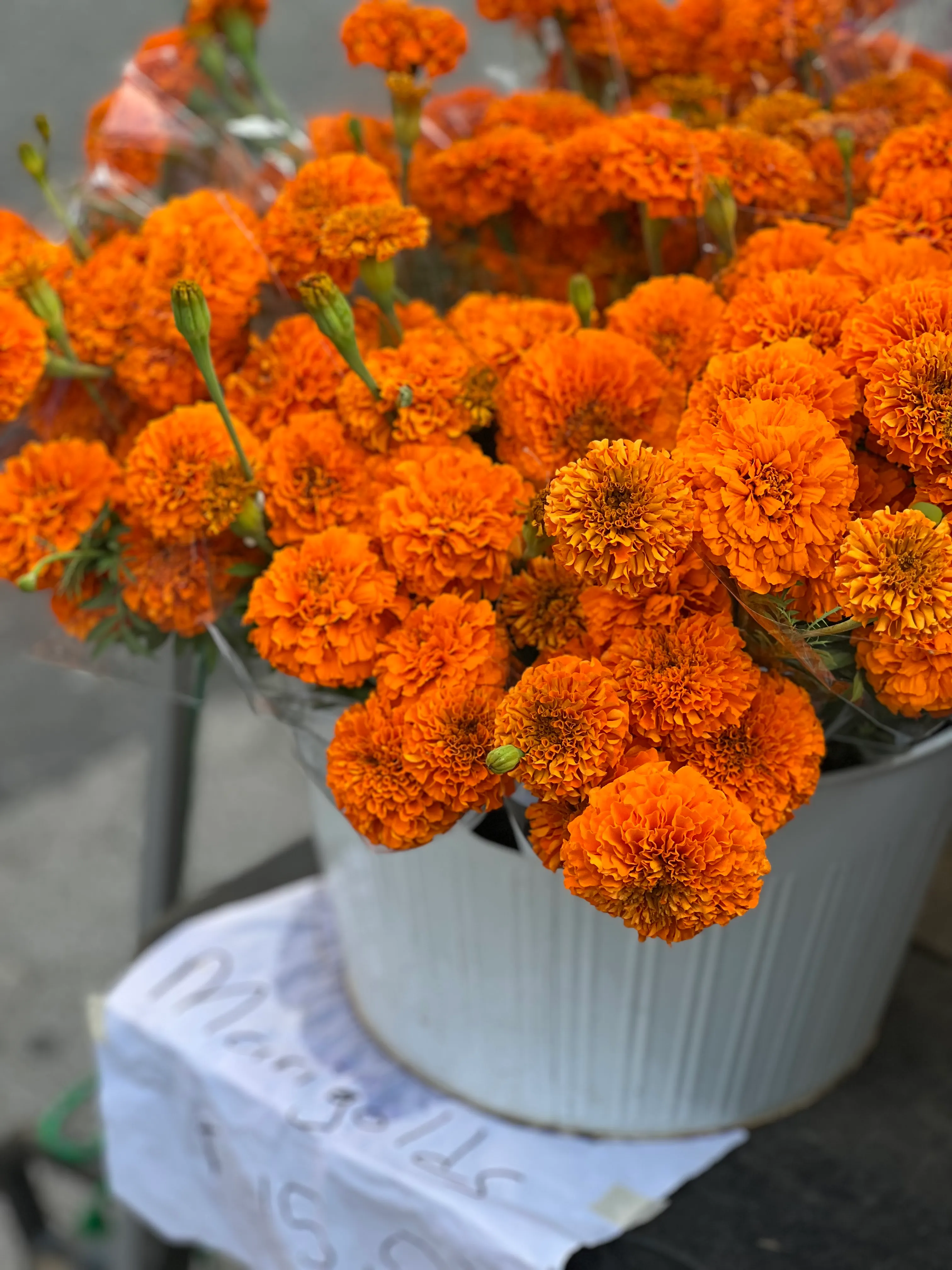 Festive Marigold Bouquet - view 4