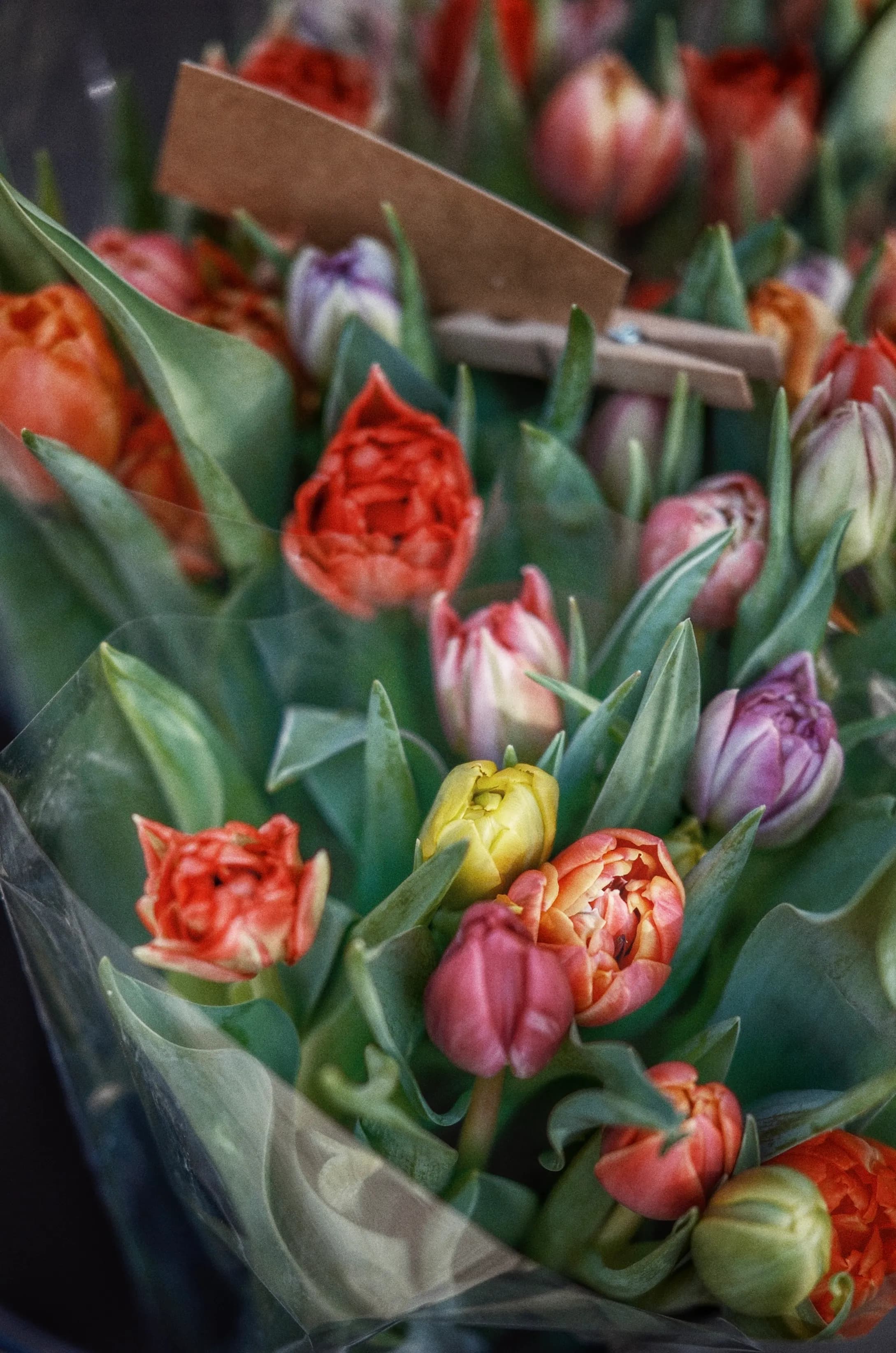 Spring Tulip Bouquet - view 3