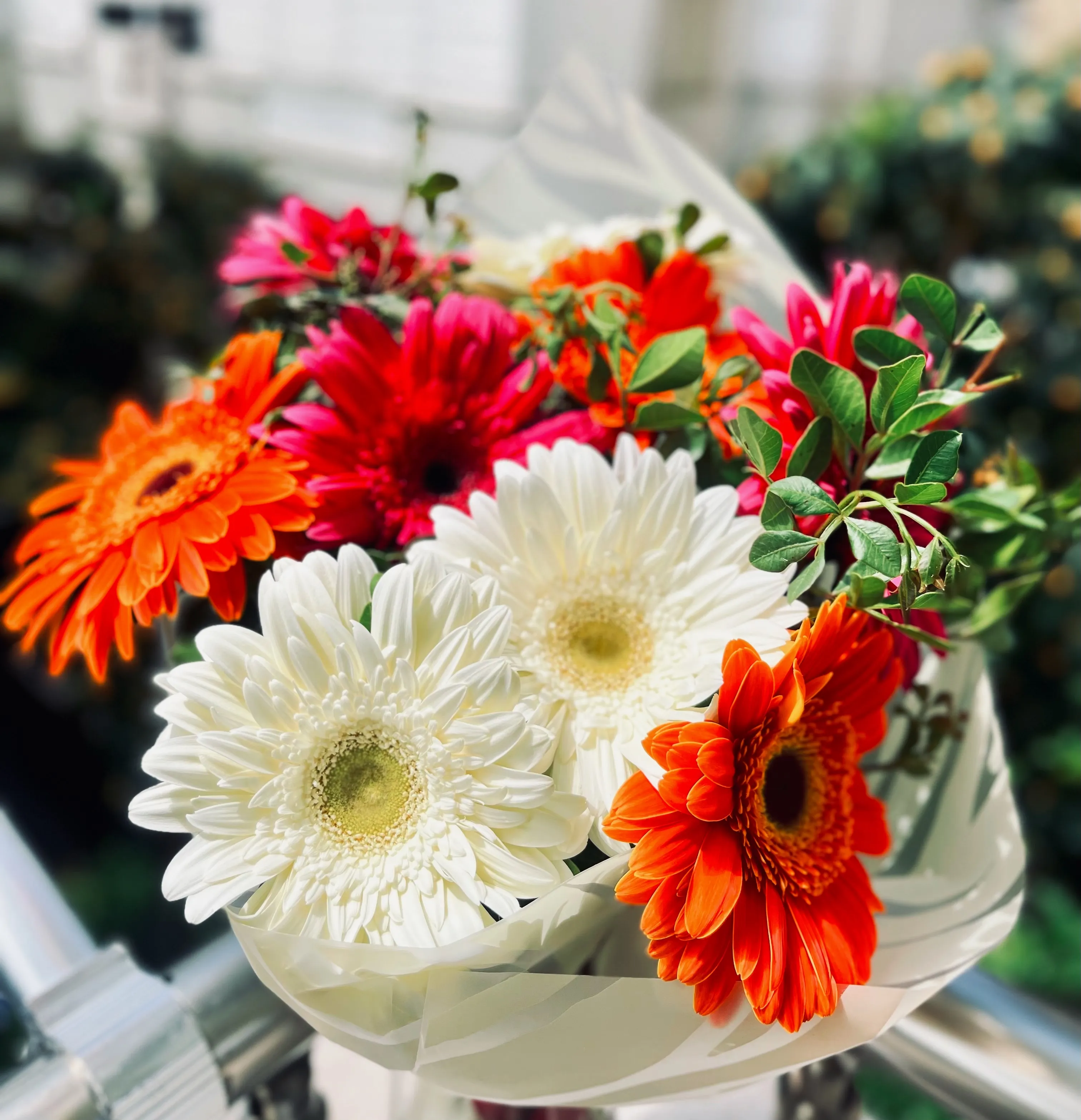 Gerbera Daisy Bouquet - view 3