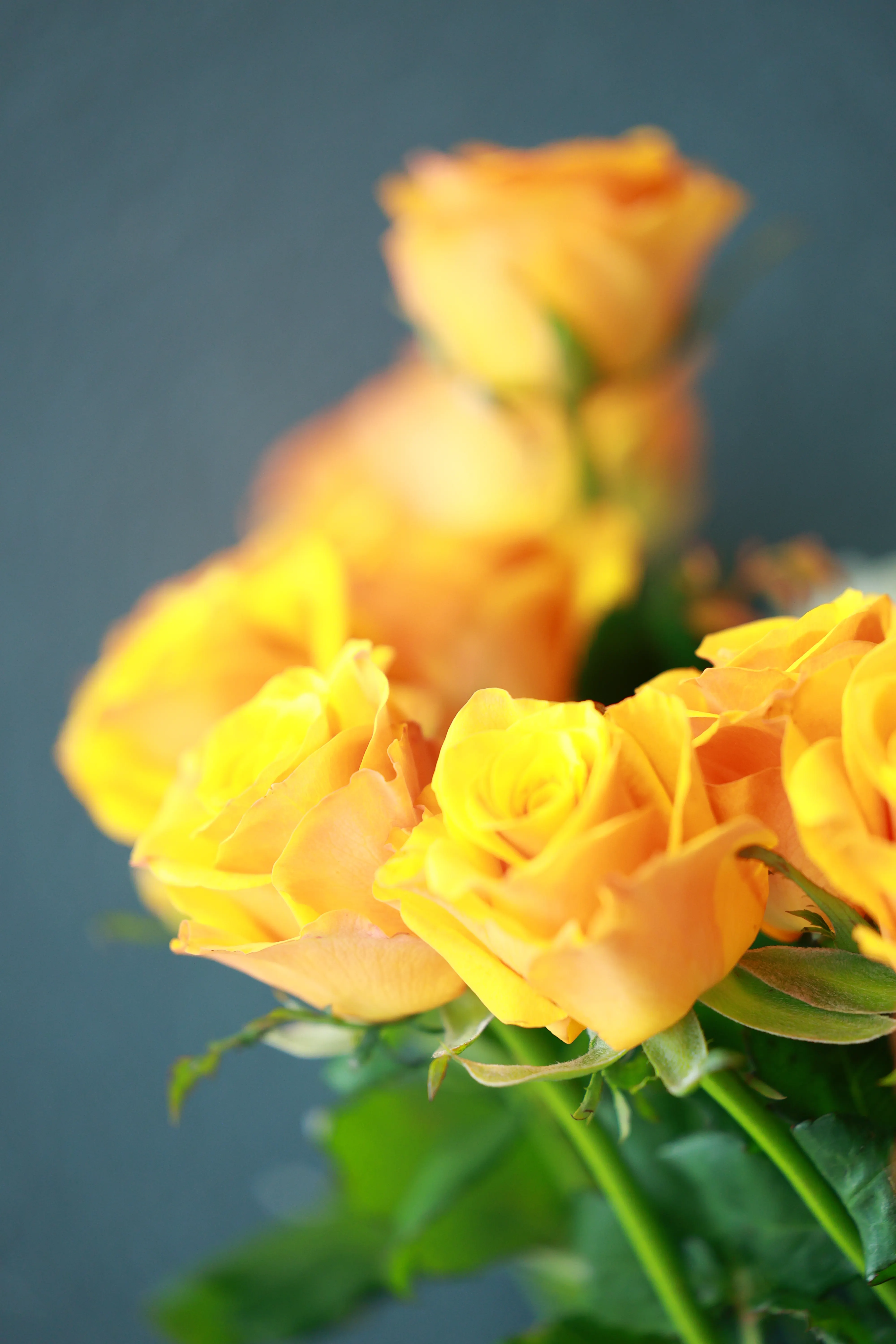 Golden Yellow Rose Bouquet - view 3