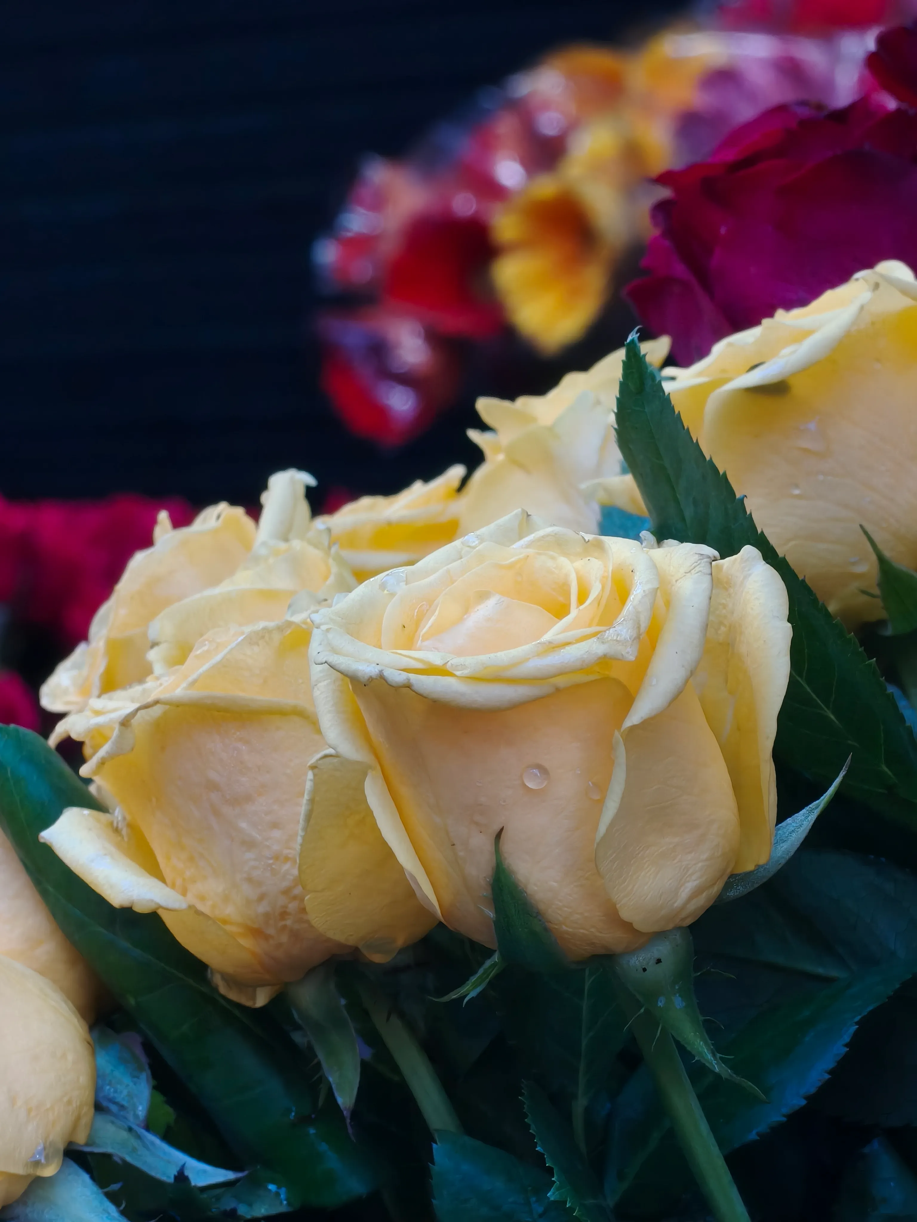 Golden Yellow Rose Bouquet - view 4