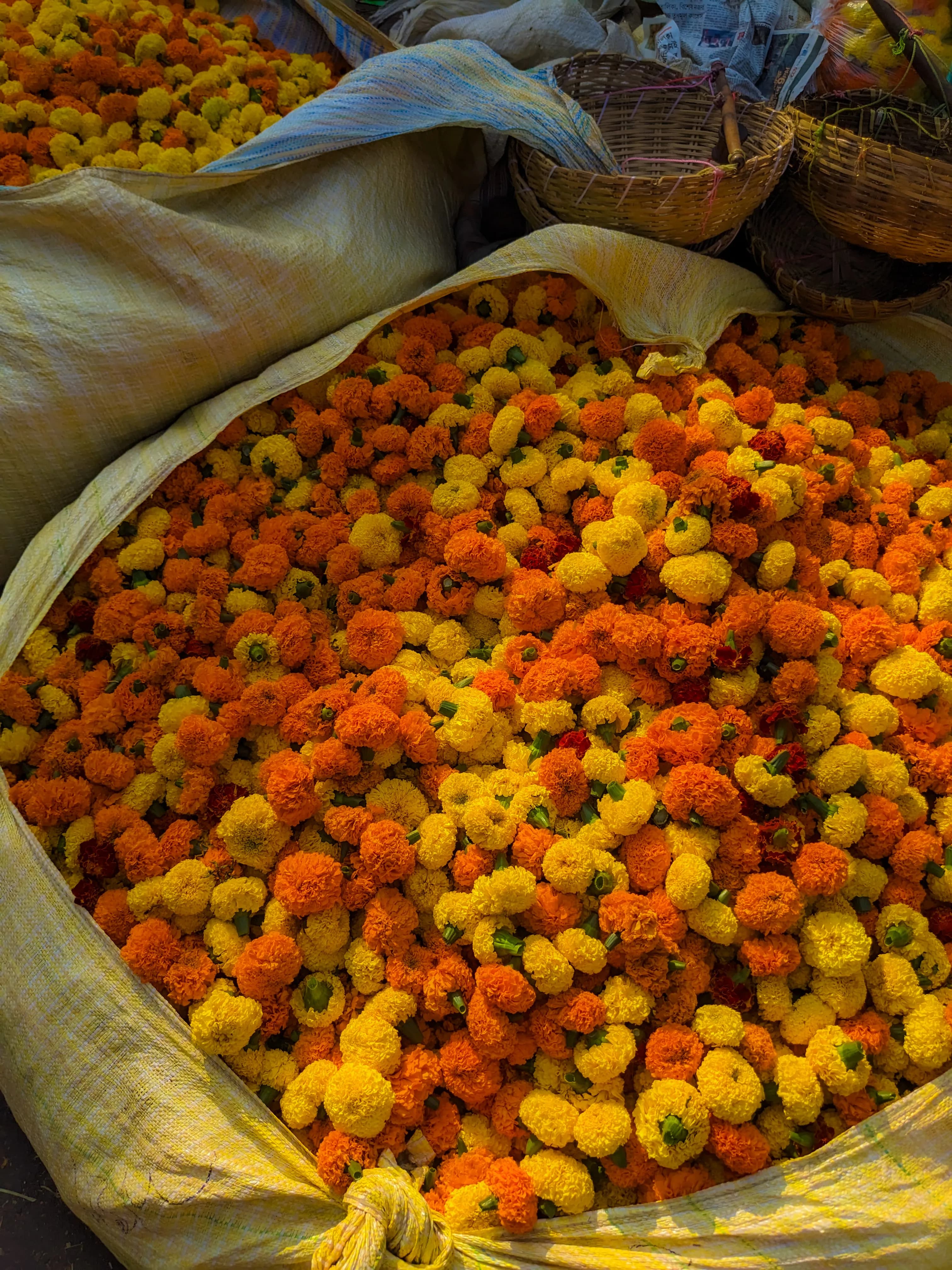 Festive Marigold Bouquet - view 5