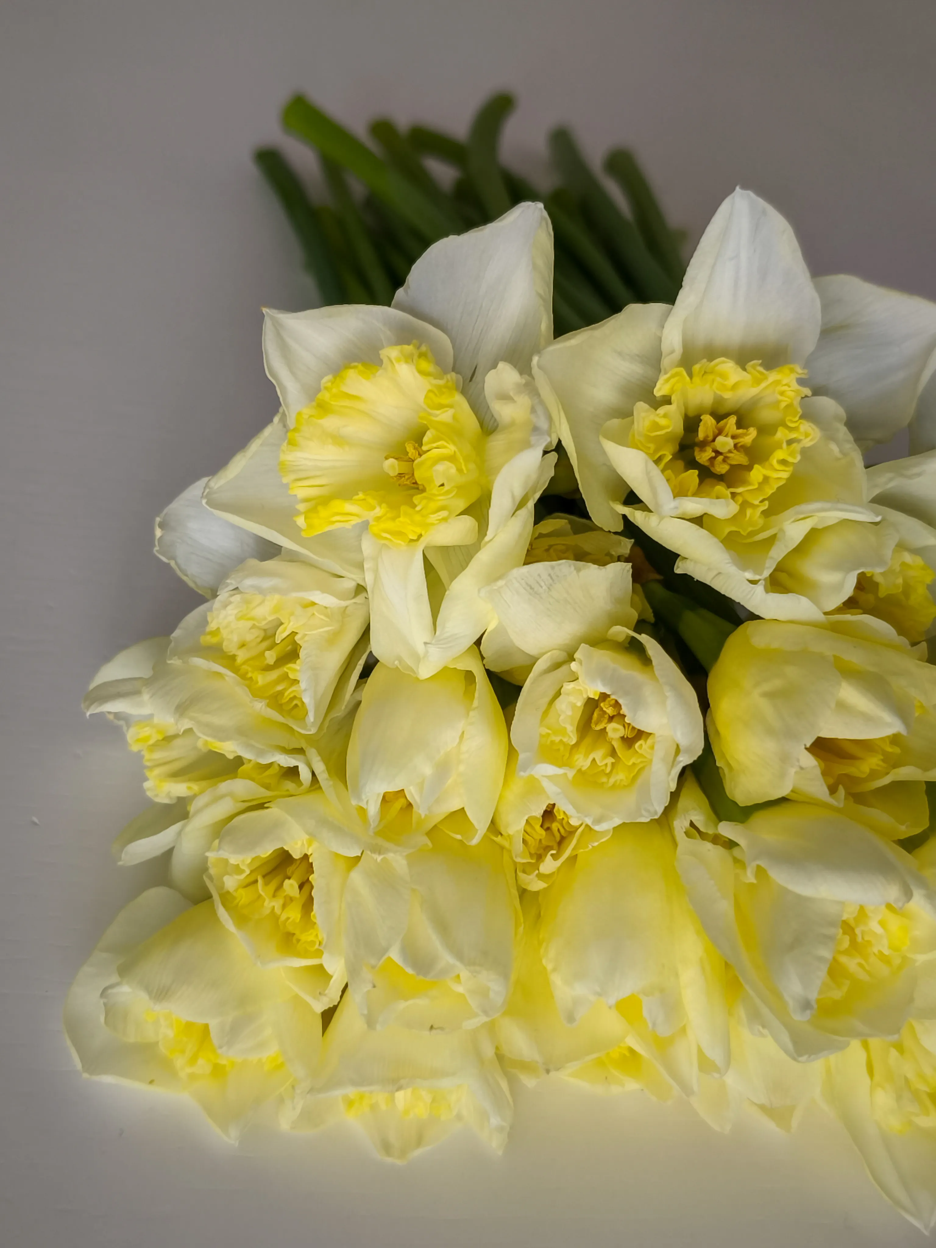 Sunny Daffodil Bouquet - view 3