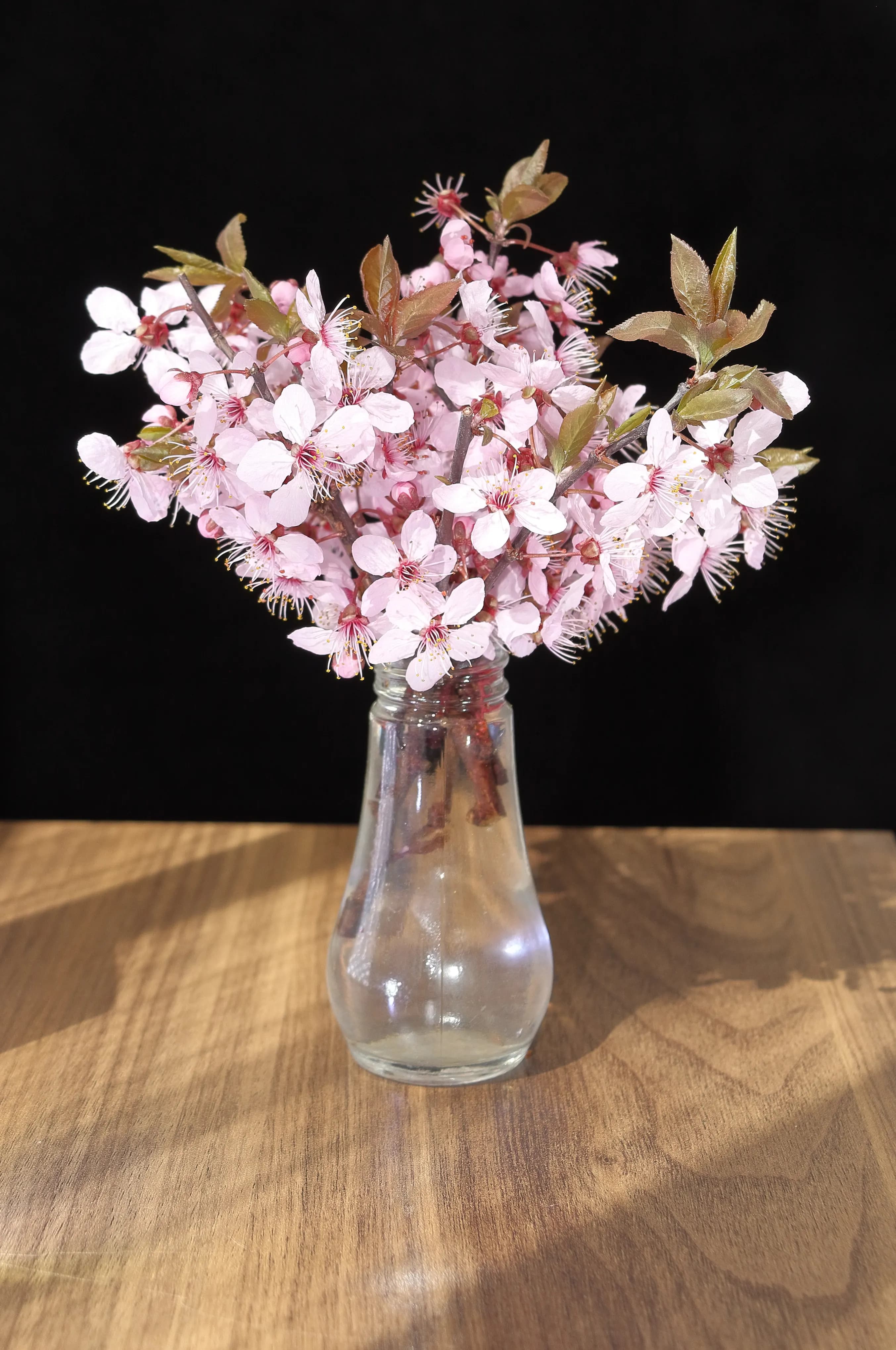 Cherry Blossom Branch Bouquet - view 3