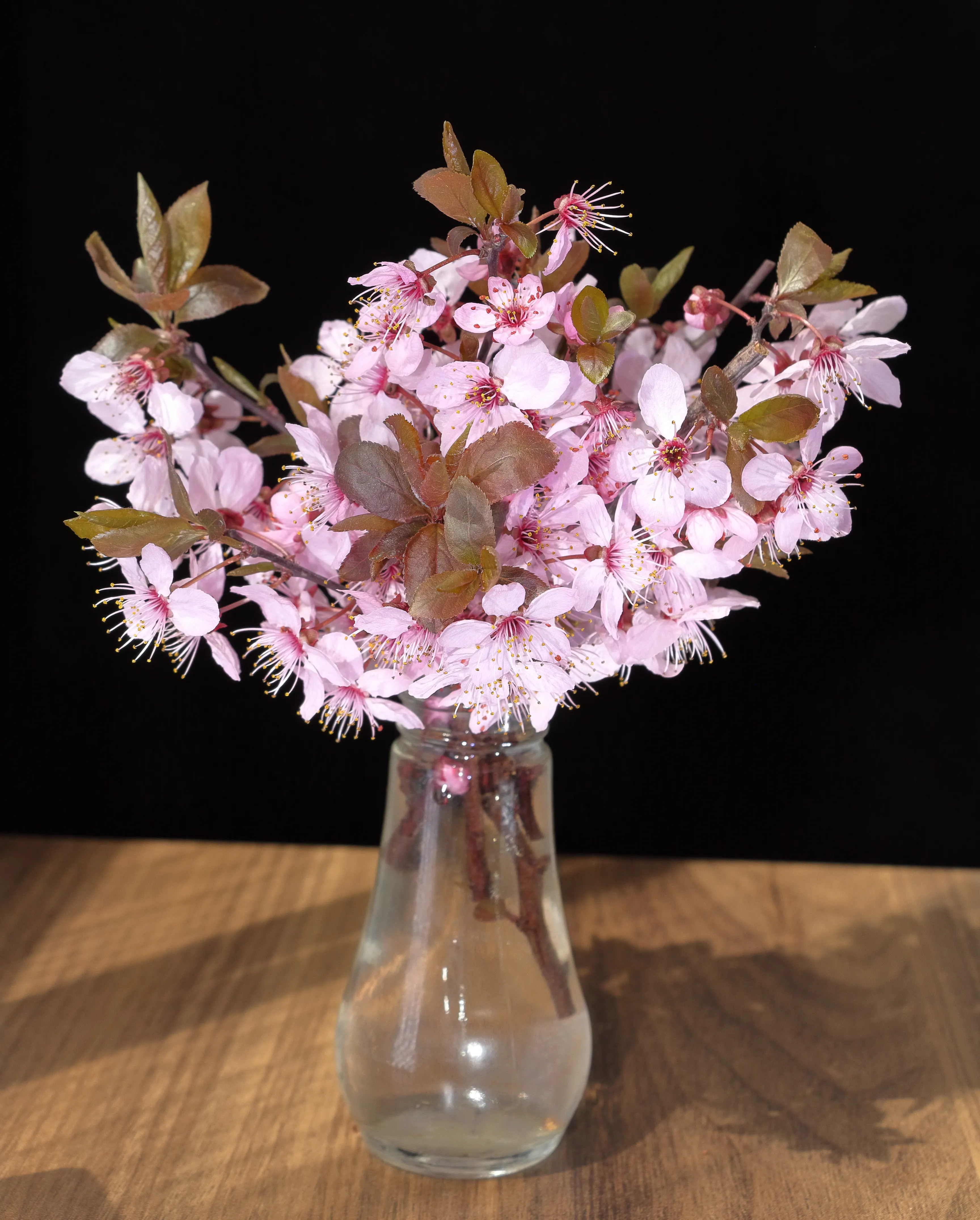 Cherry Blossom Branch Bouquet - view 5