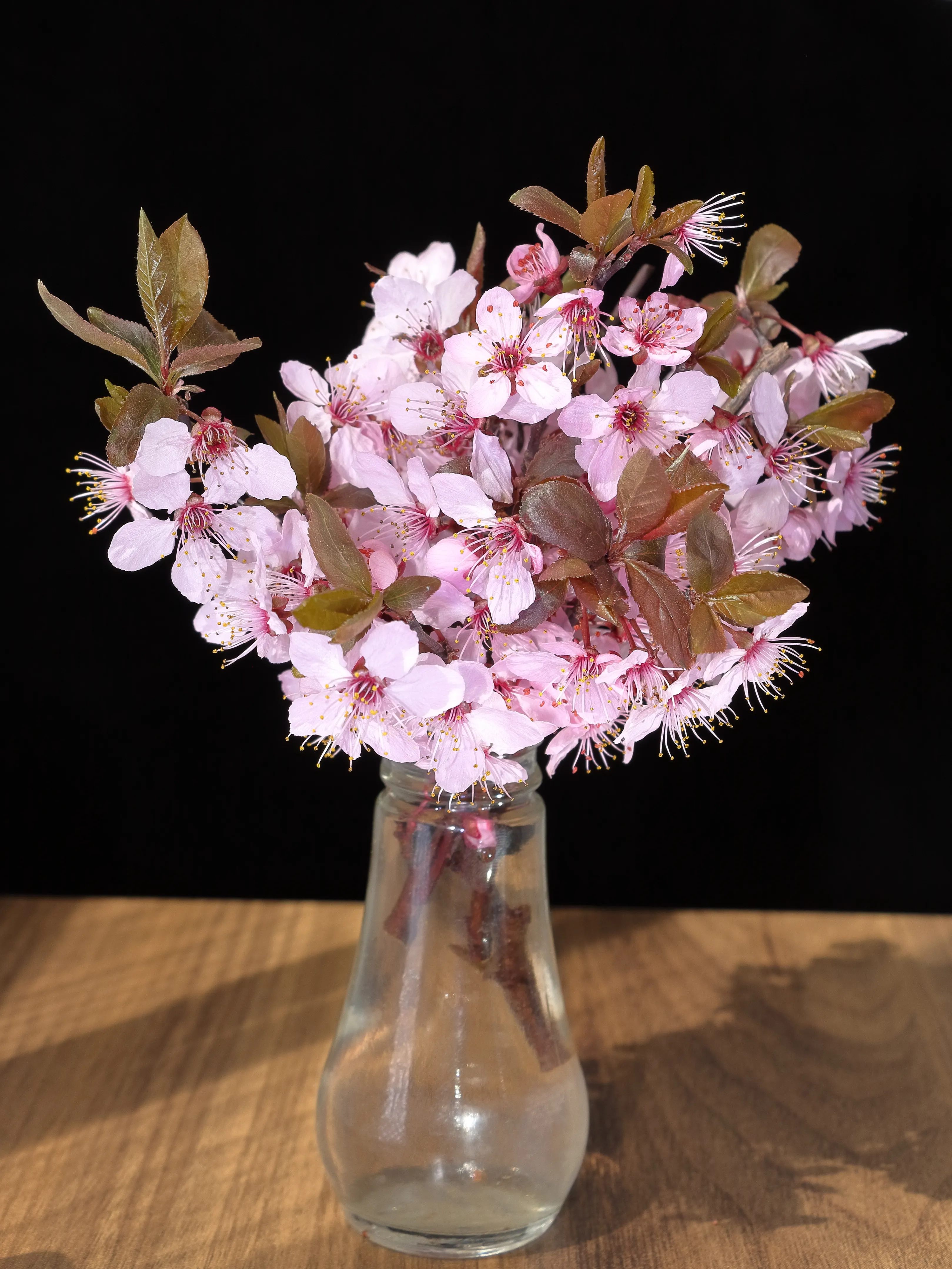 Cherry Blossom Branch Bouquet - view 4
