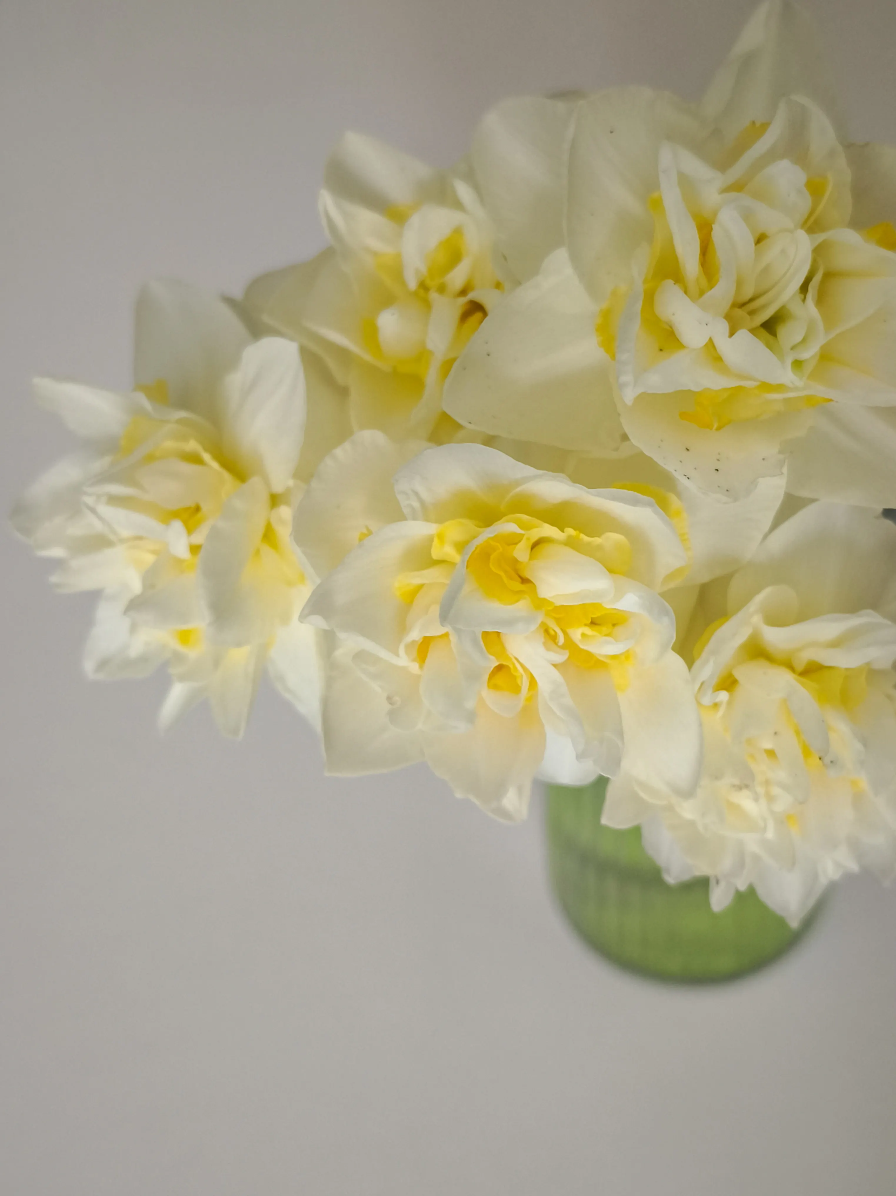 Sunny Daffodil Bouquet - view 4