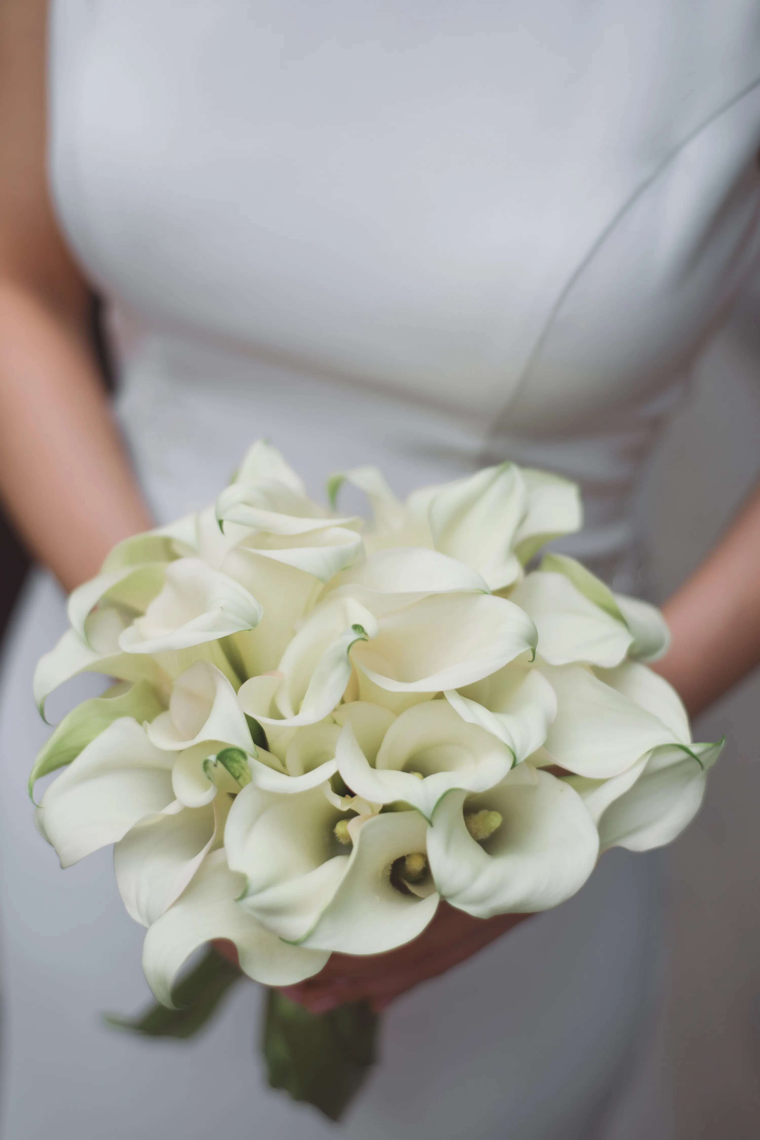 Calla Lily Elegance Bouquet - view 5