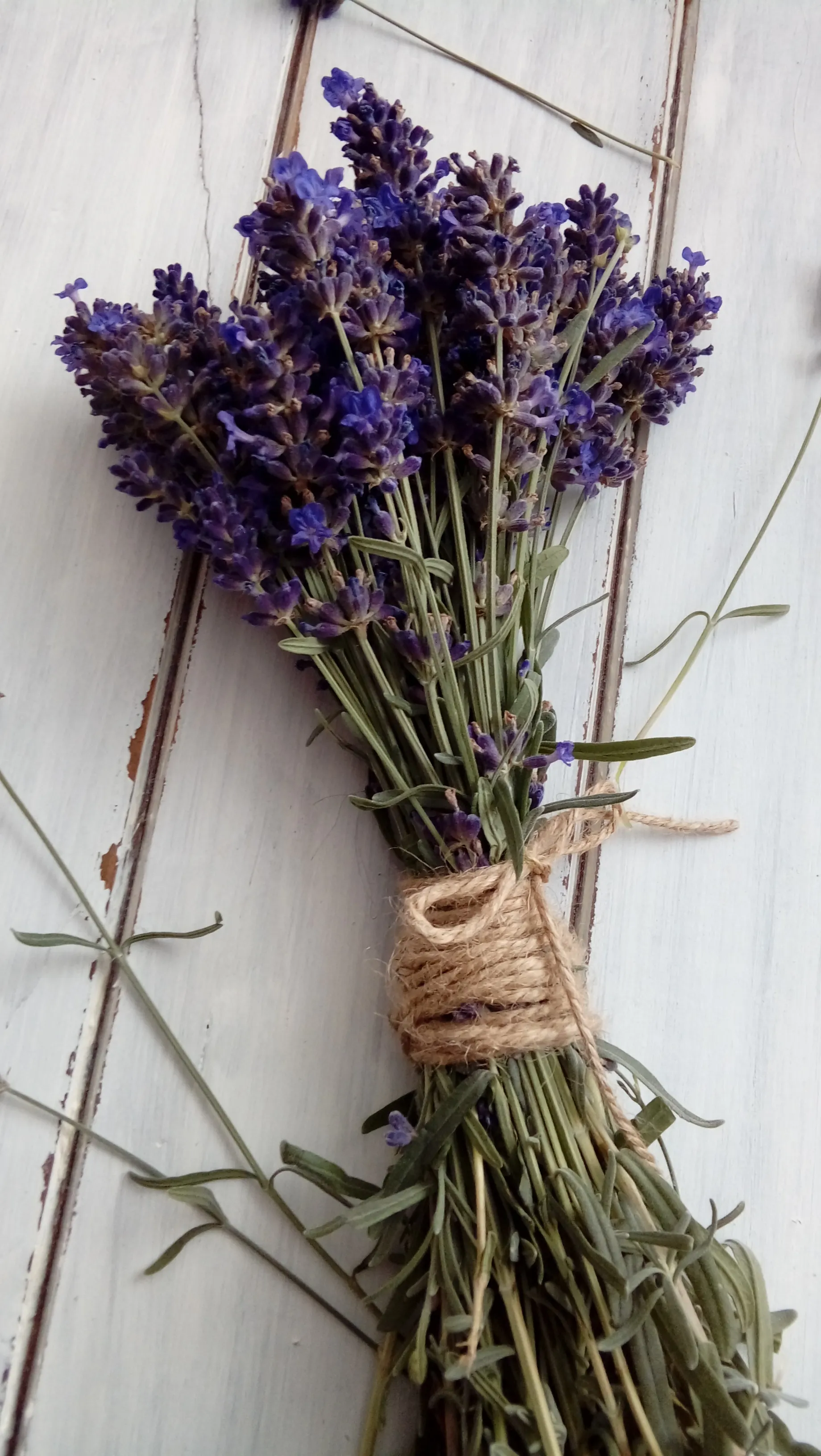 Lavender Fields Bouquet - view 5