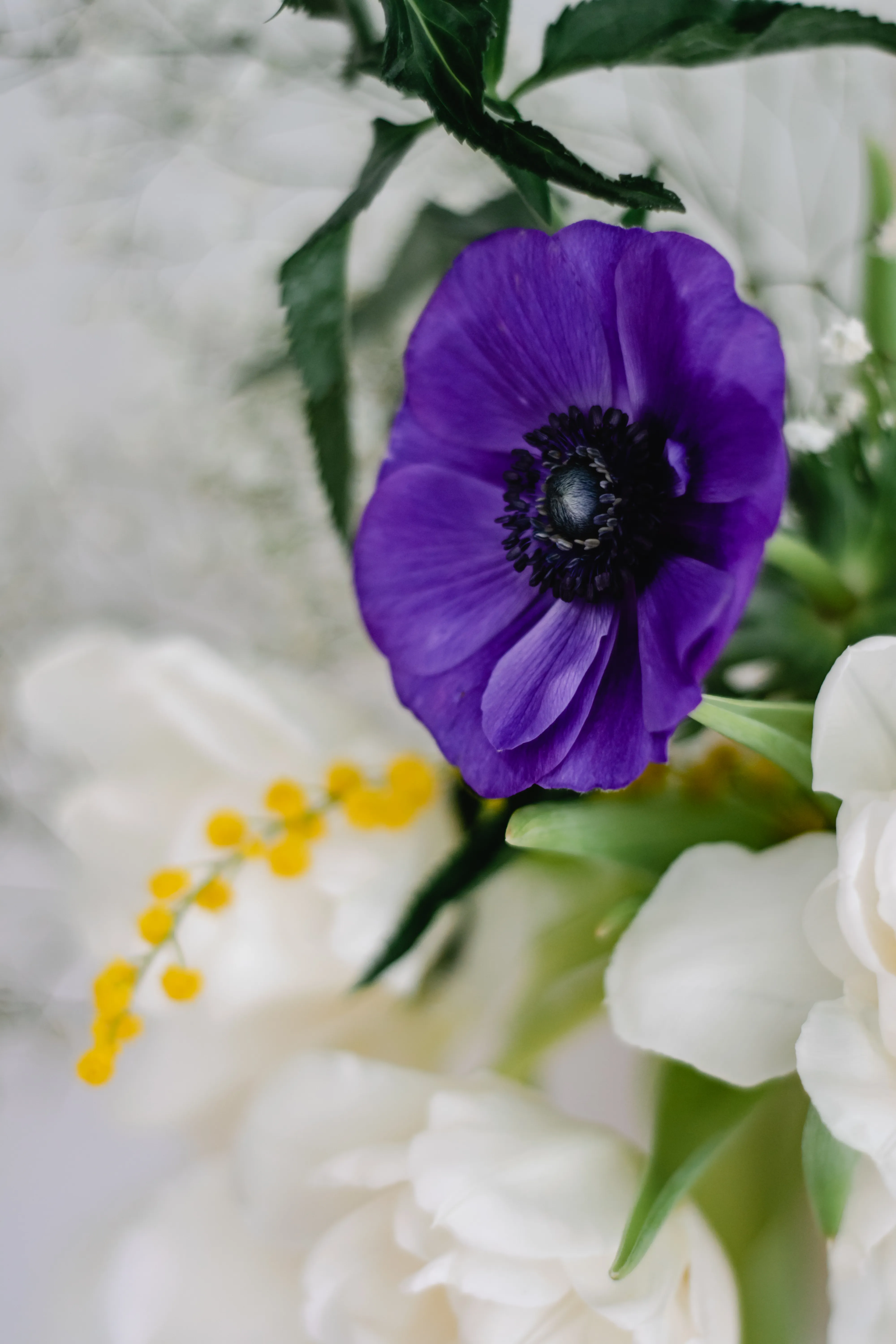 Anemone Garden Bouquet - view 6